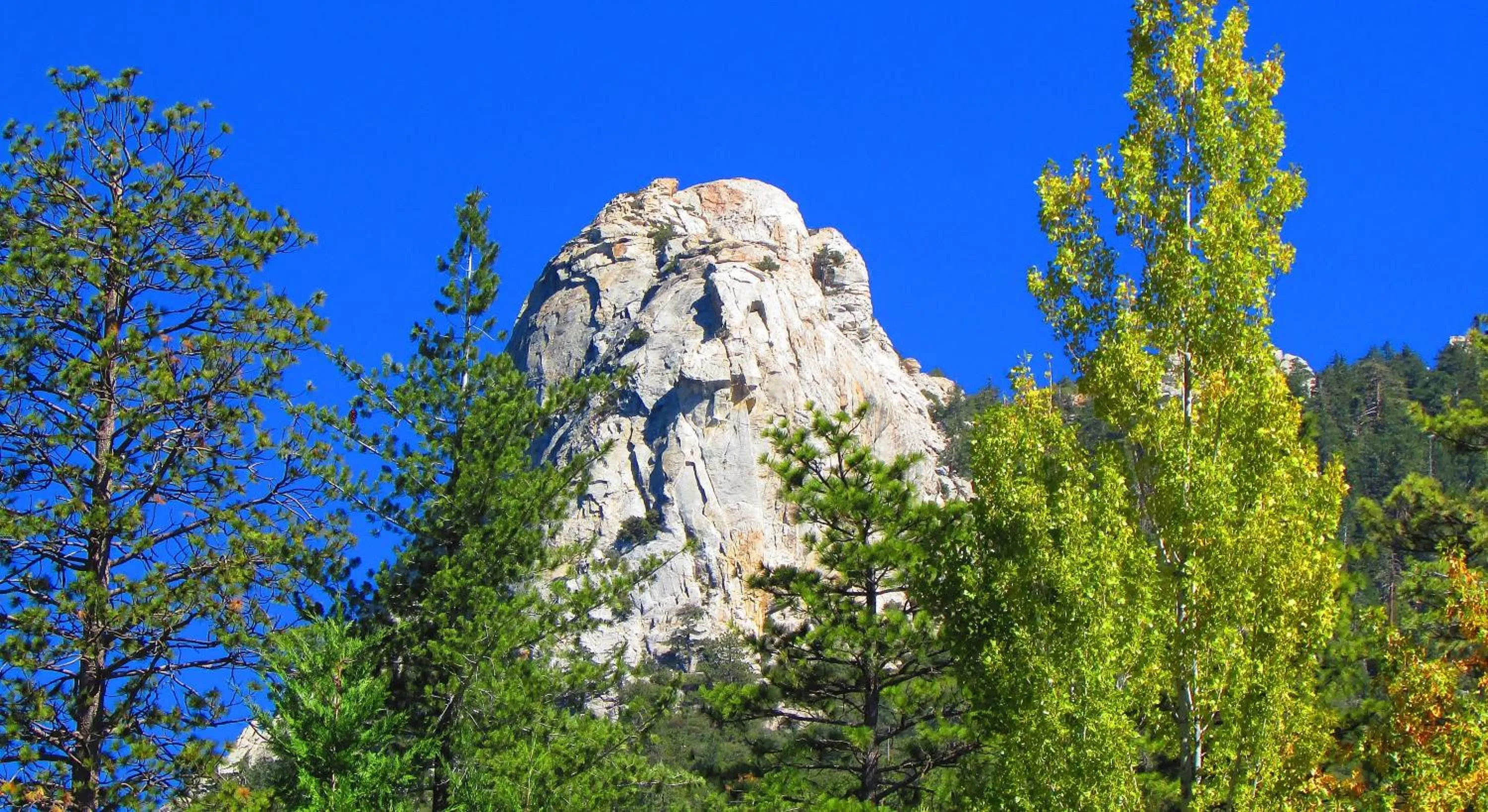 Always Inn Idyllwild Vacation Cottages