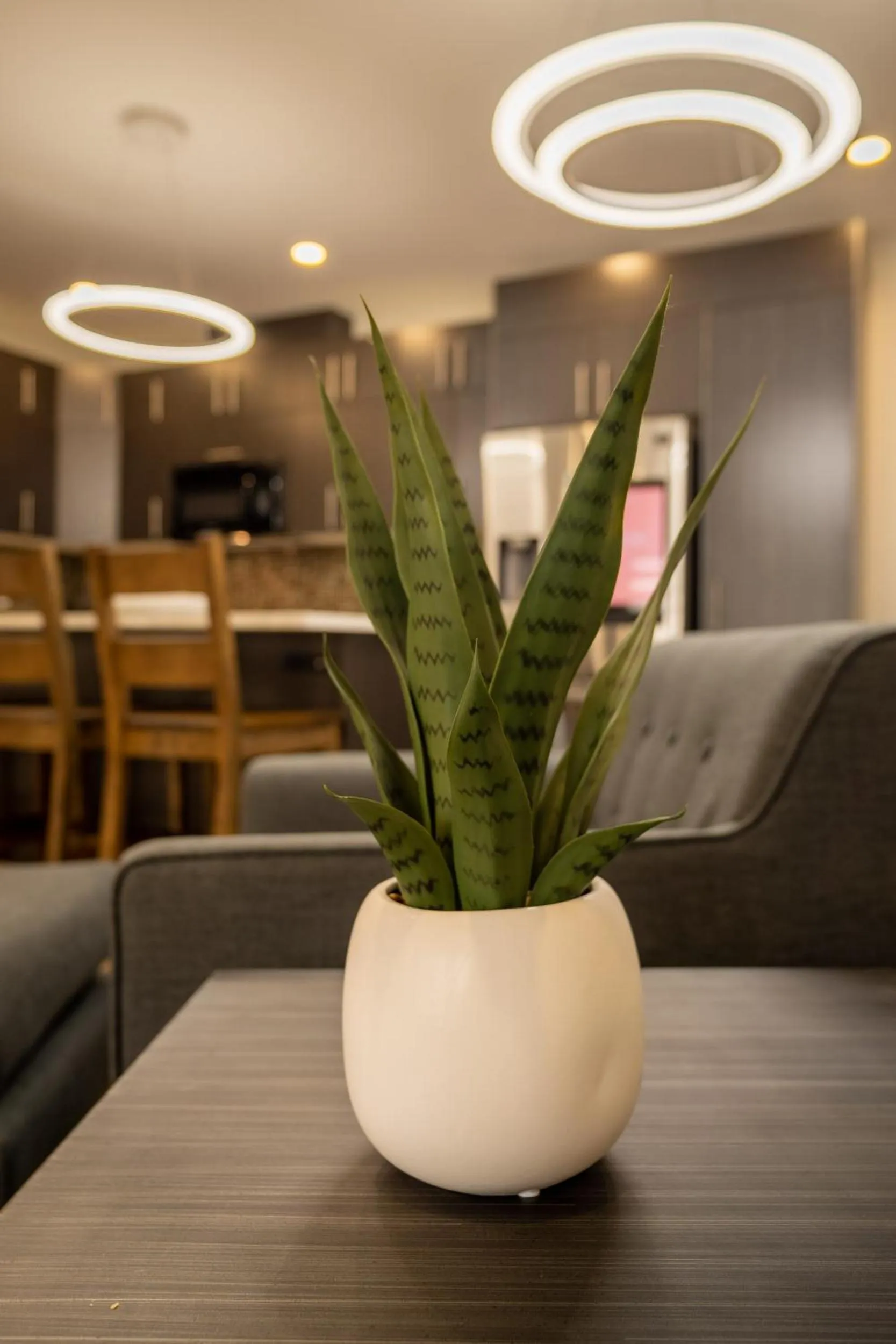 Quality Inn Sunshine Suites