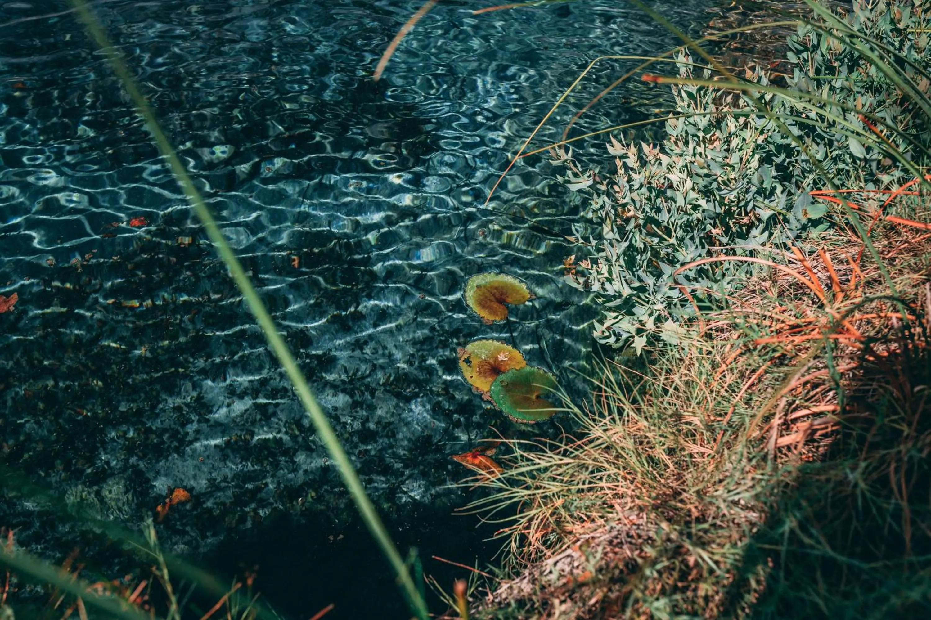 Natural landscape in Hacienda Viga 2020 Hotel