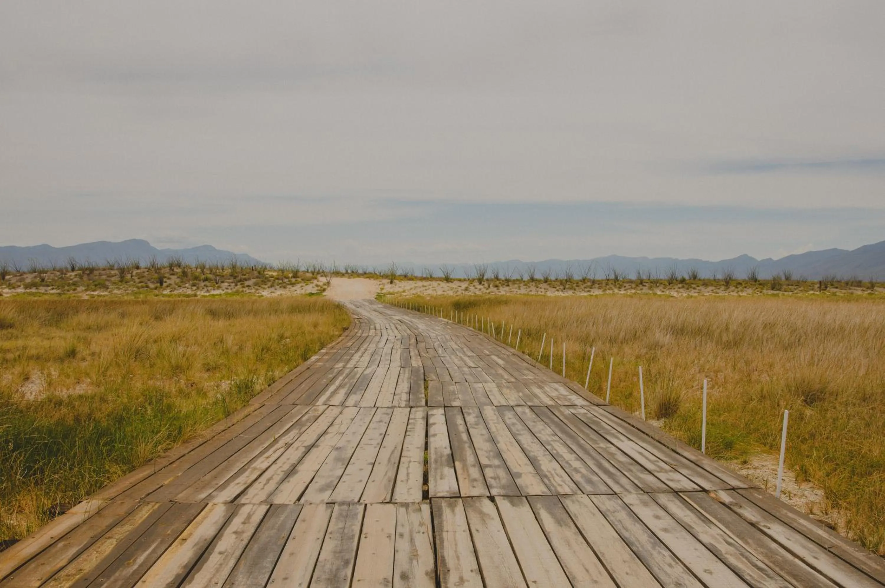 Natural landscape in Hacienda Viga 2020 Hotel