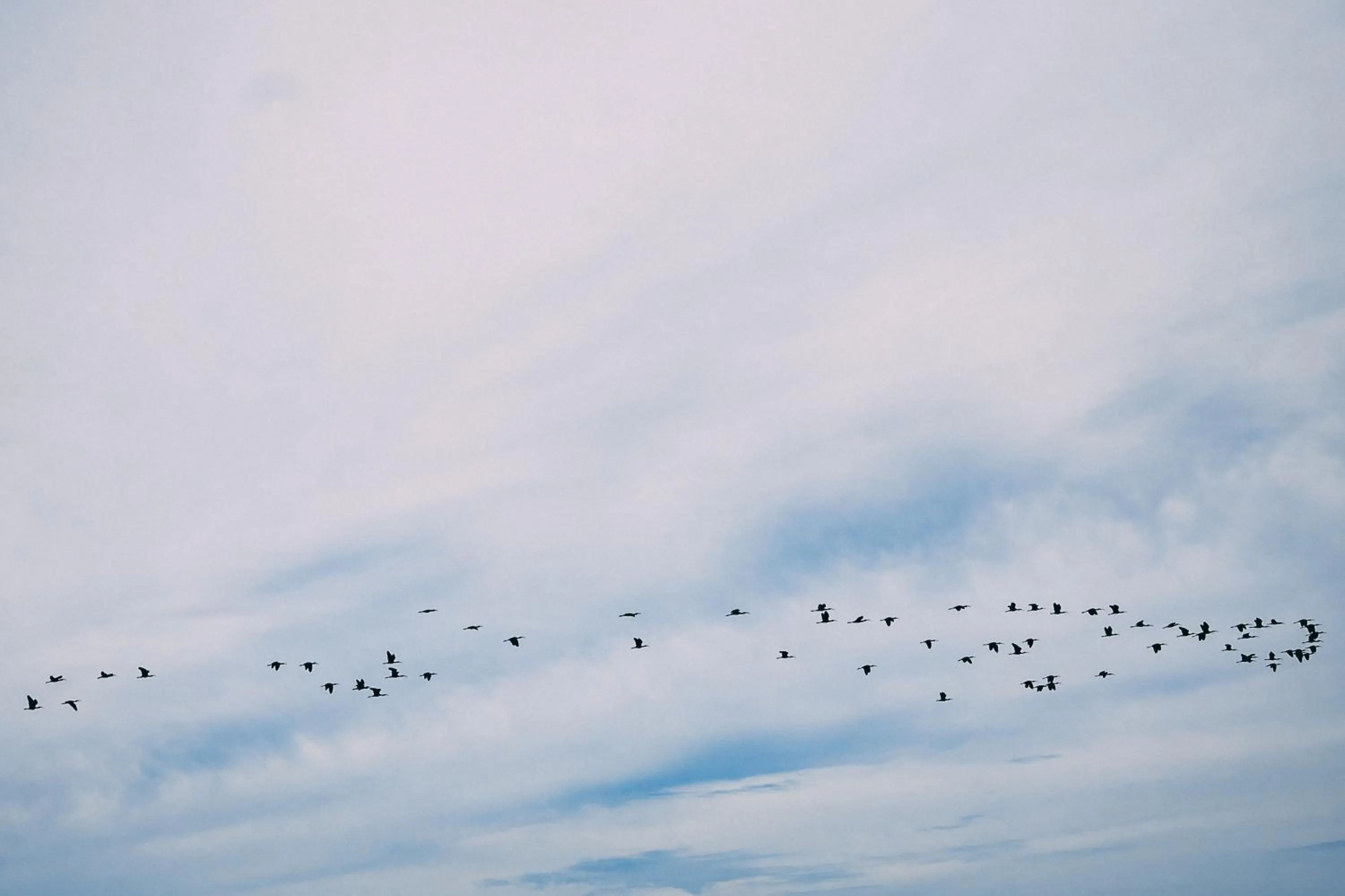 Natural landscape in Hacienda Viga 2020 Hotel