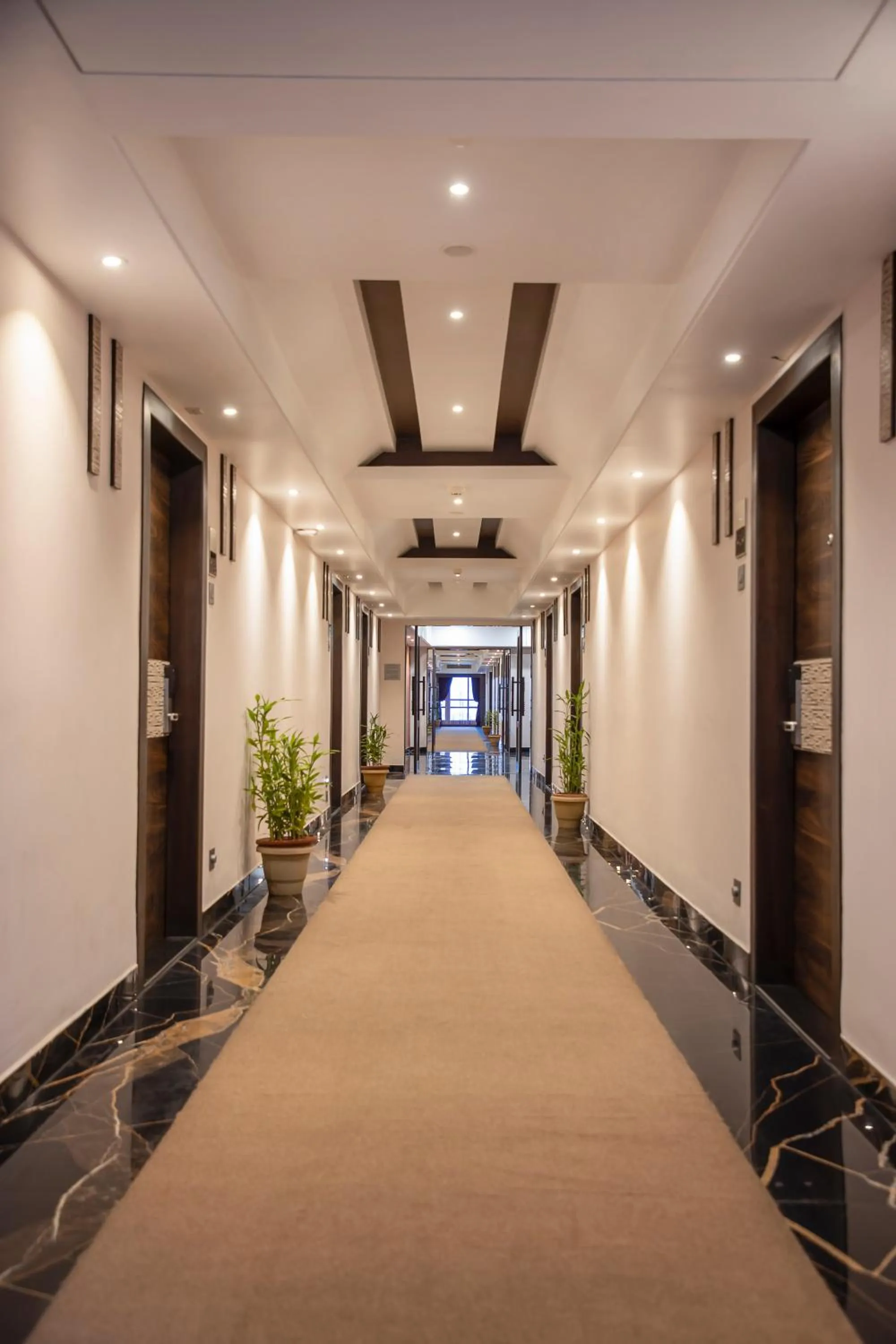 Decorative detail in Hotel Rajmahal