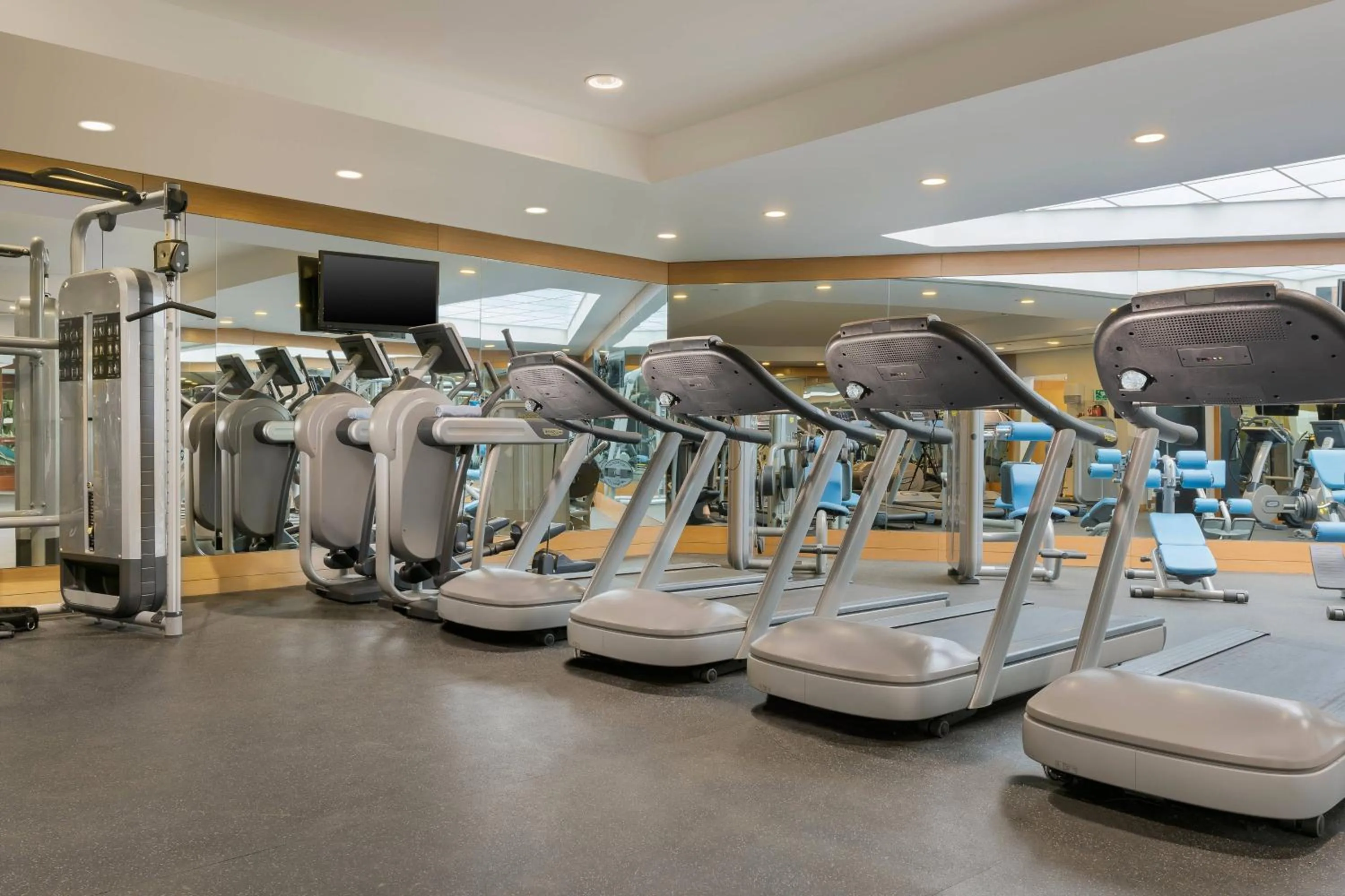 Fitness centre/facilities in Le Meridien Cairo Airport