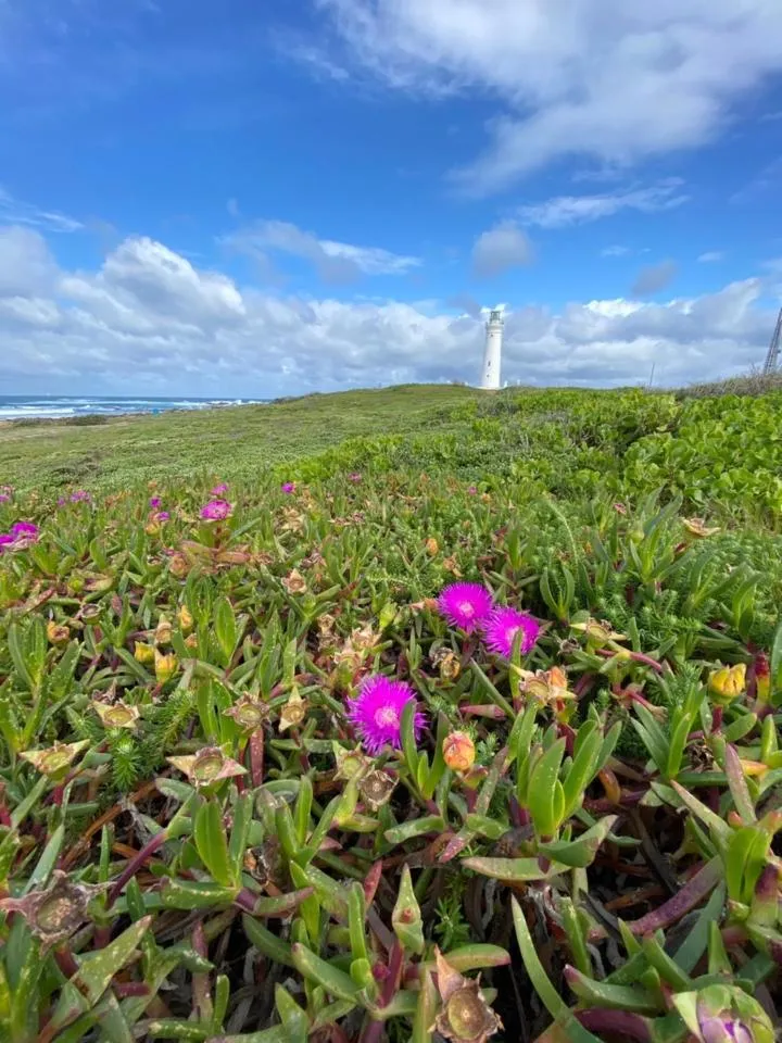 Nearby landmark in i-LOLLO Bed & Breakfast at the River Mouth