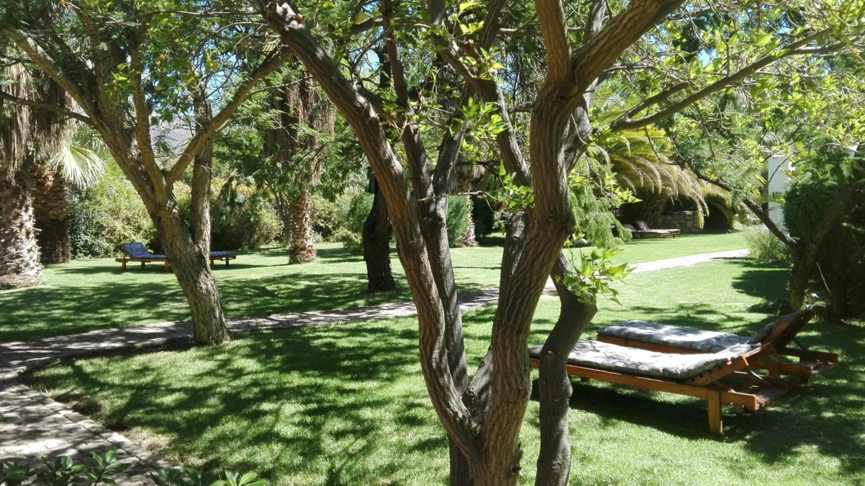 Garden view in Saxe-Coburg Lodge