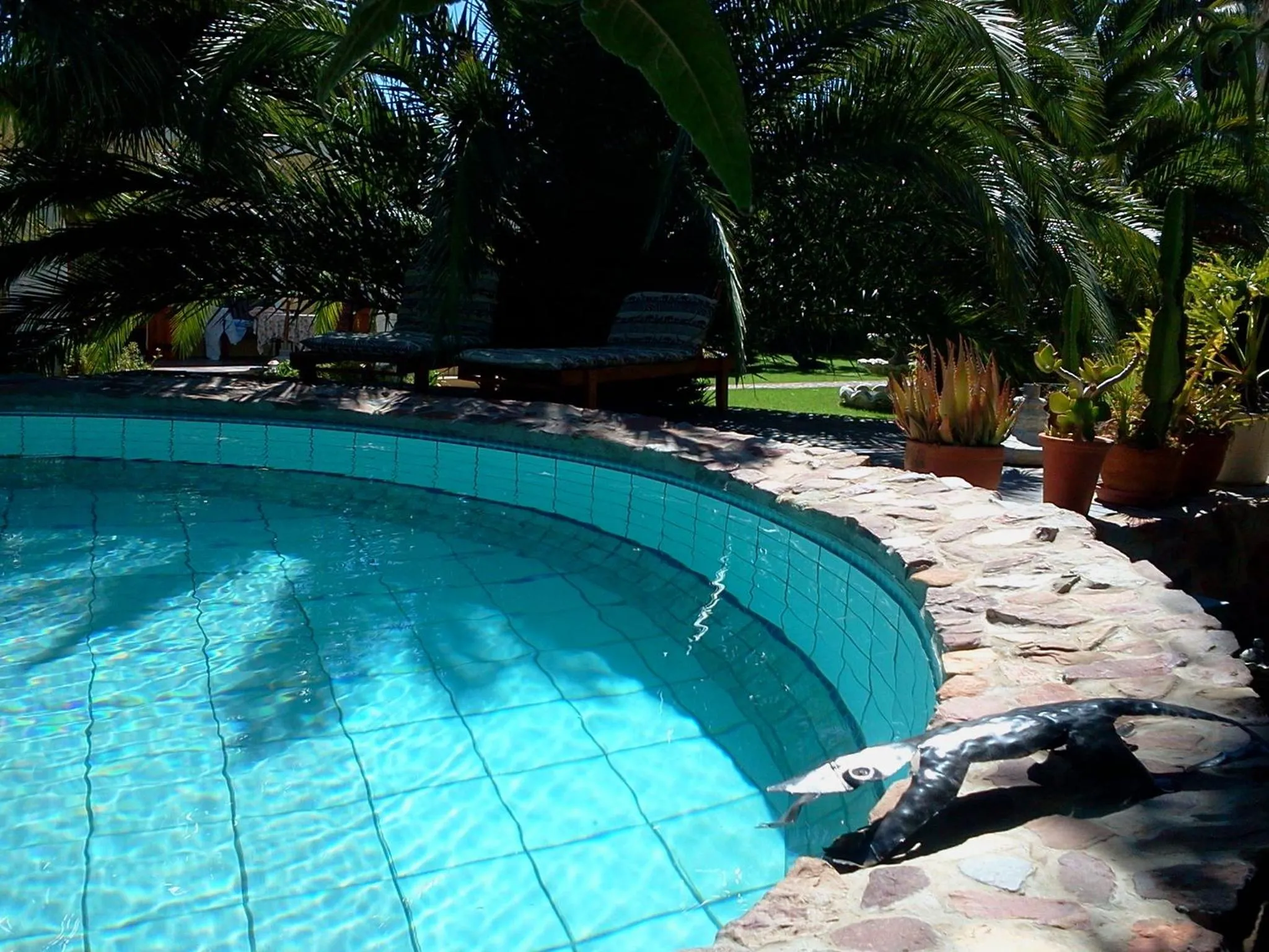Swimming pool in Saxe-Coburg Lodge