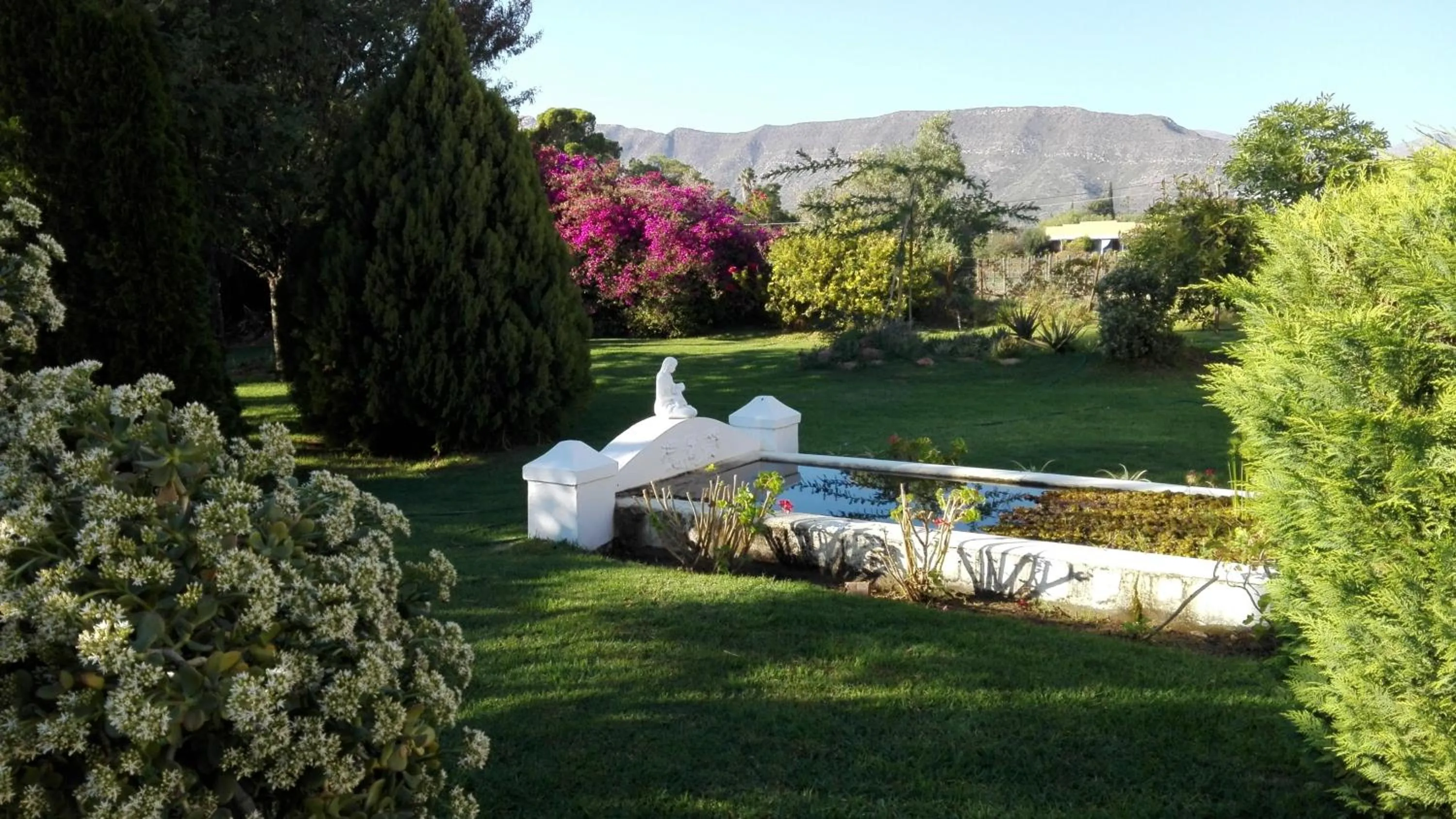 Lake view in Saxe-Coburg Lodge