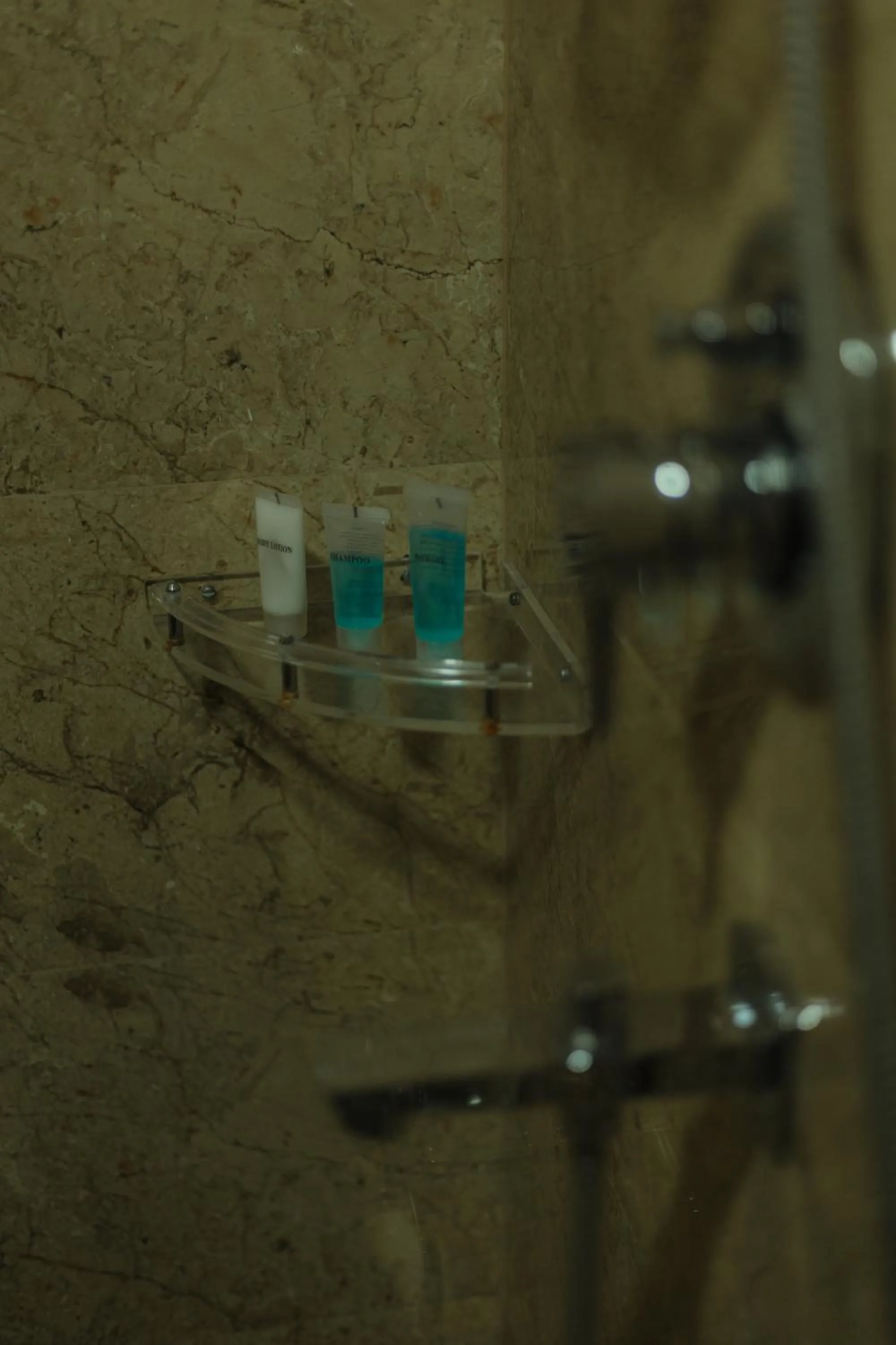 Bathroom in Hotel Tulsi