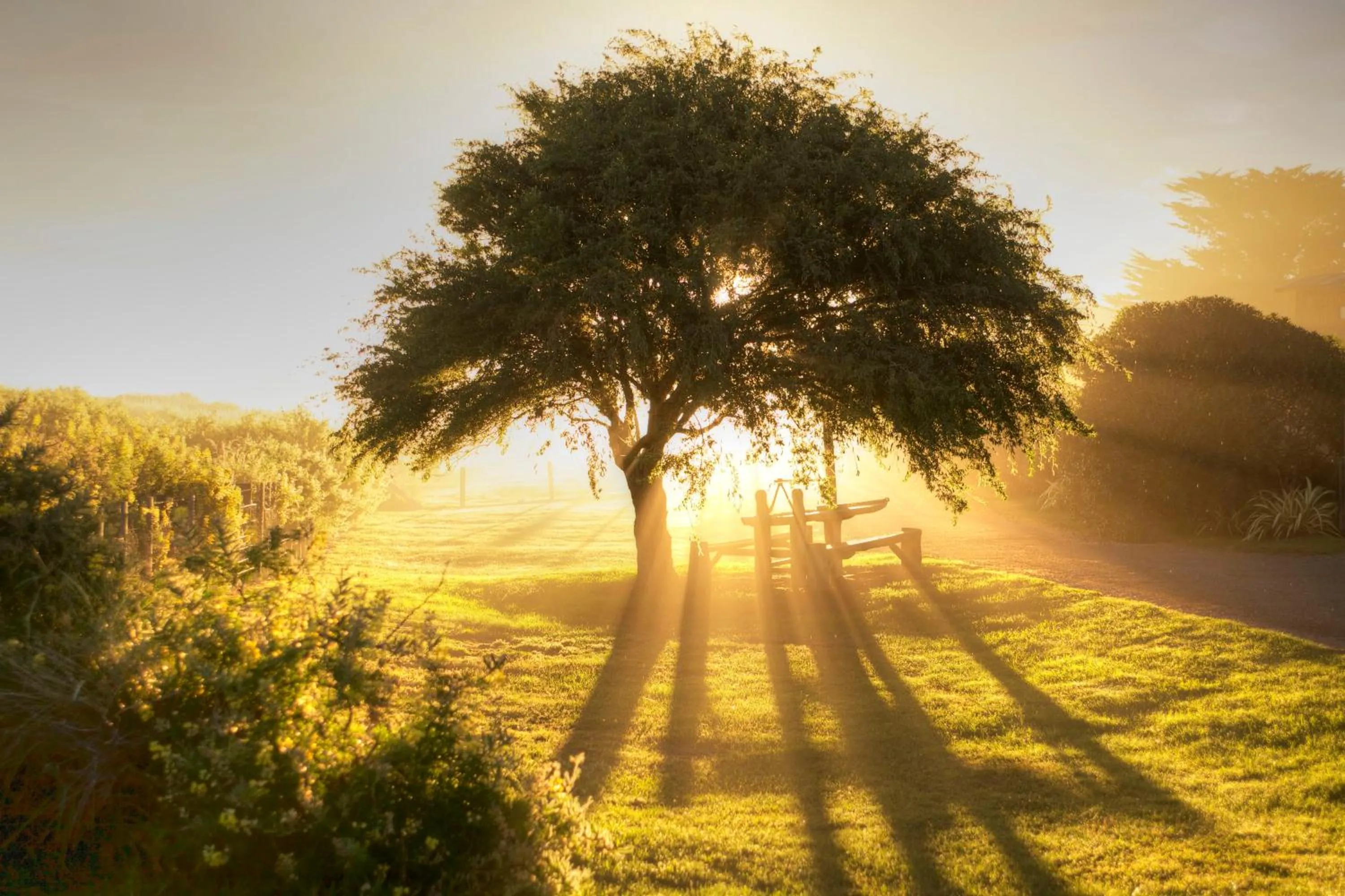 Garden in The Factory Luxury Accomodation
