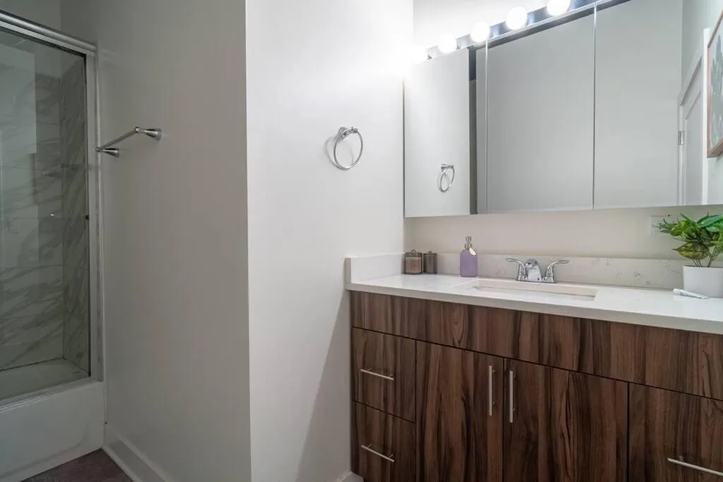 McCormick Place Luxurious and Spacious 3BR in Downtown Chicago with Optional Parking Sleeps 10 guests