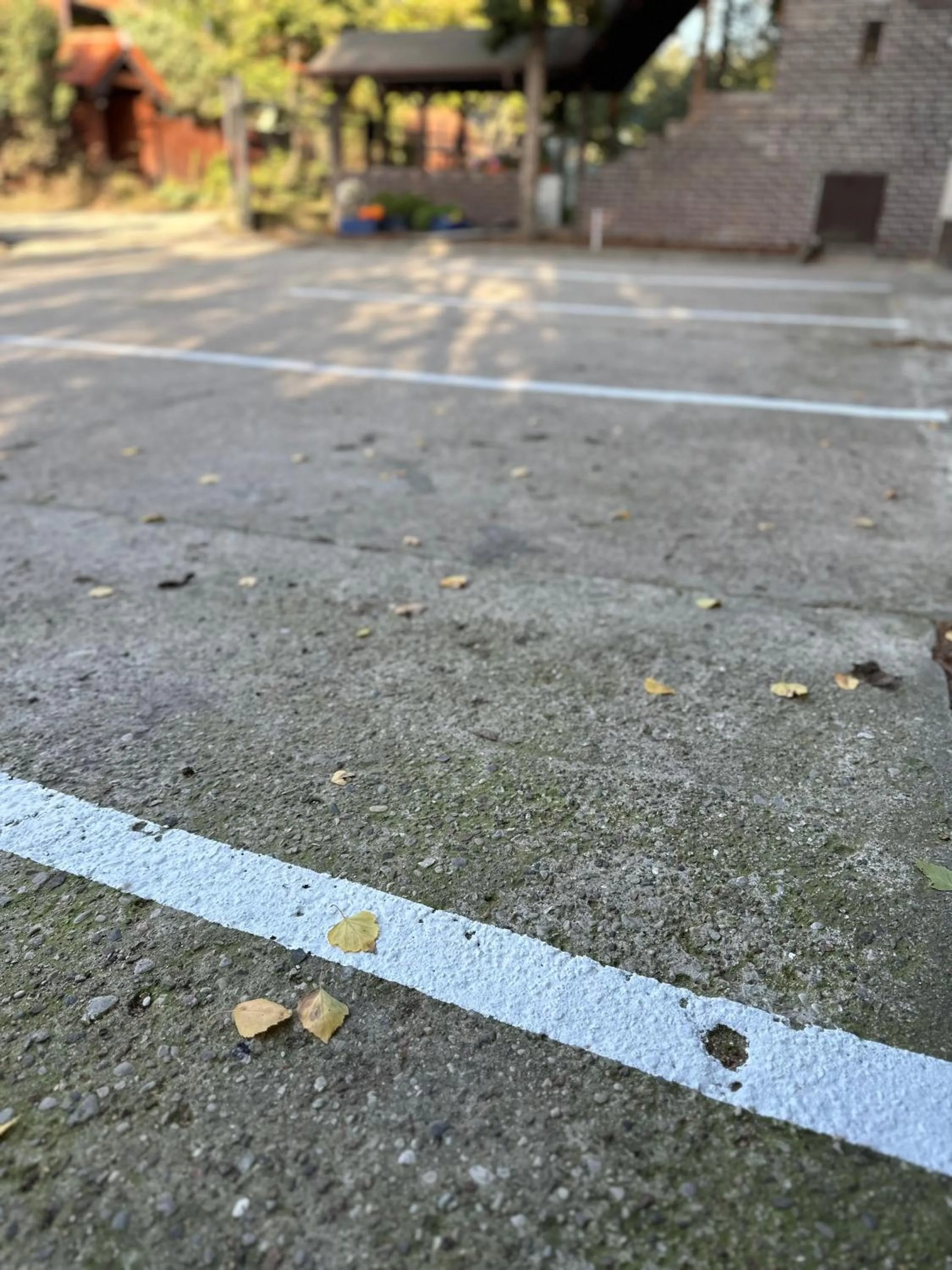 Szumi Las Bed & Breakfast