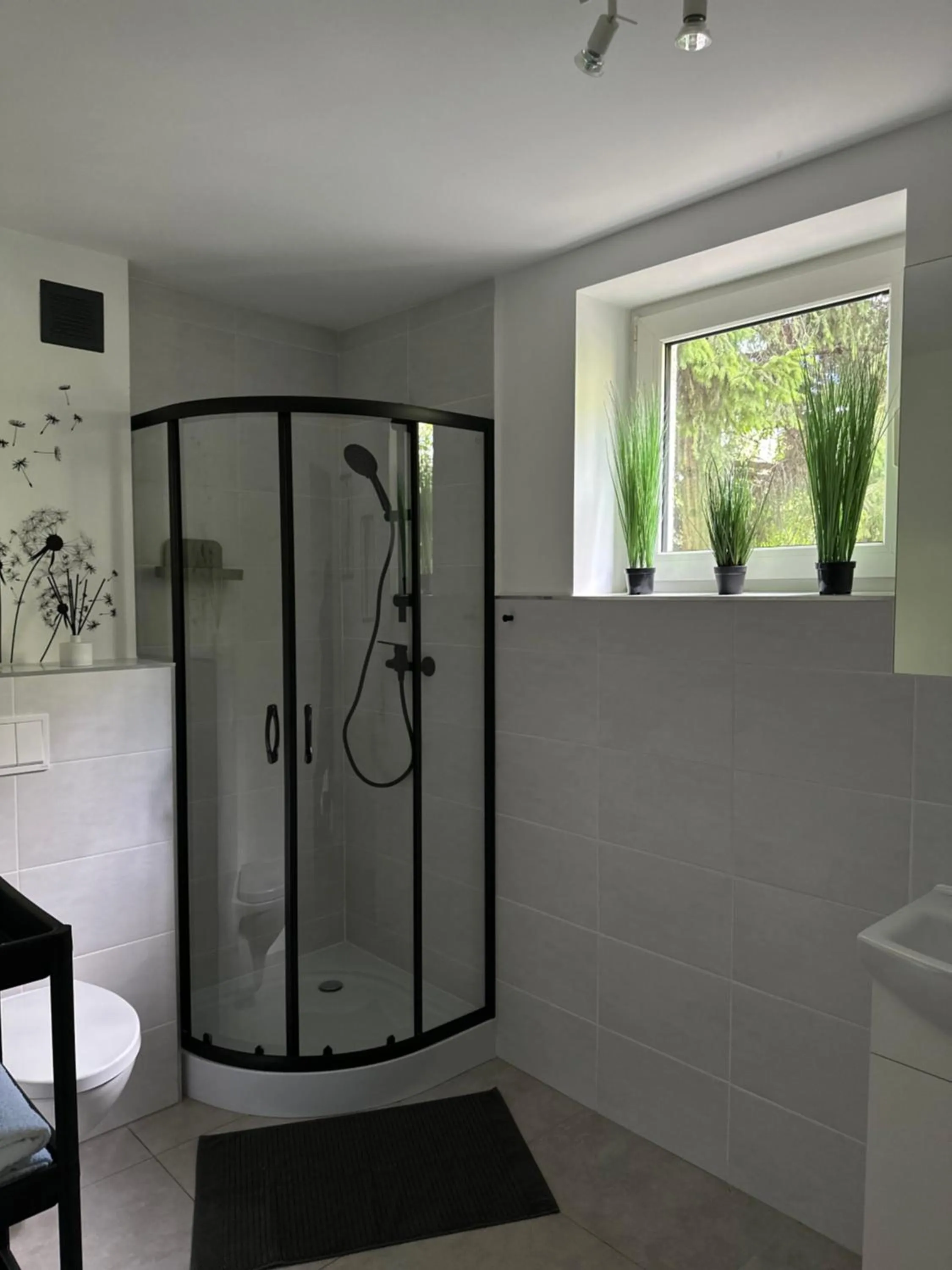 Szumi Las Bed & Breakfast