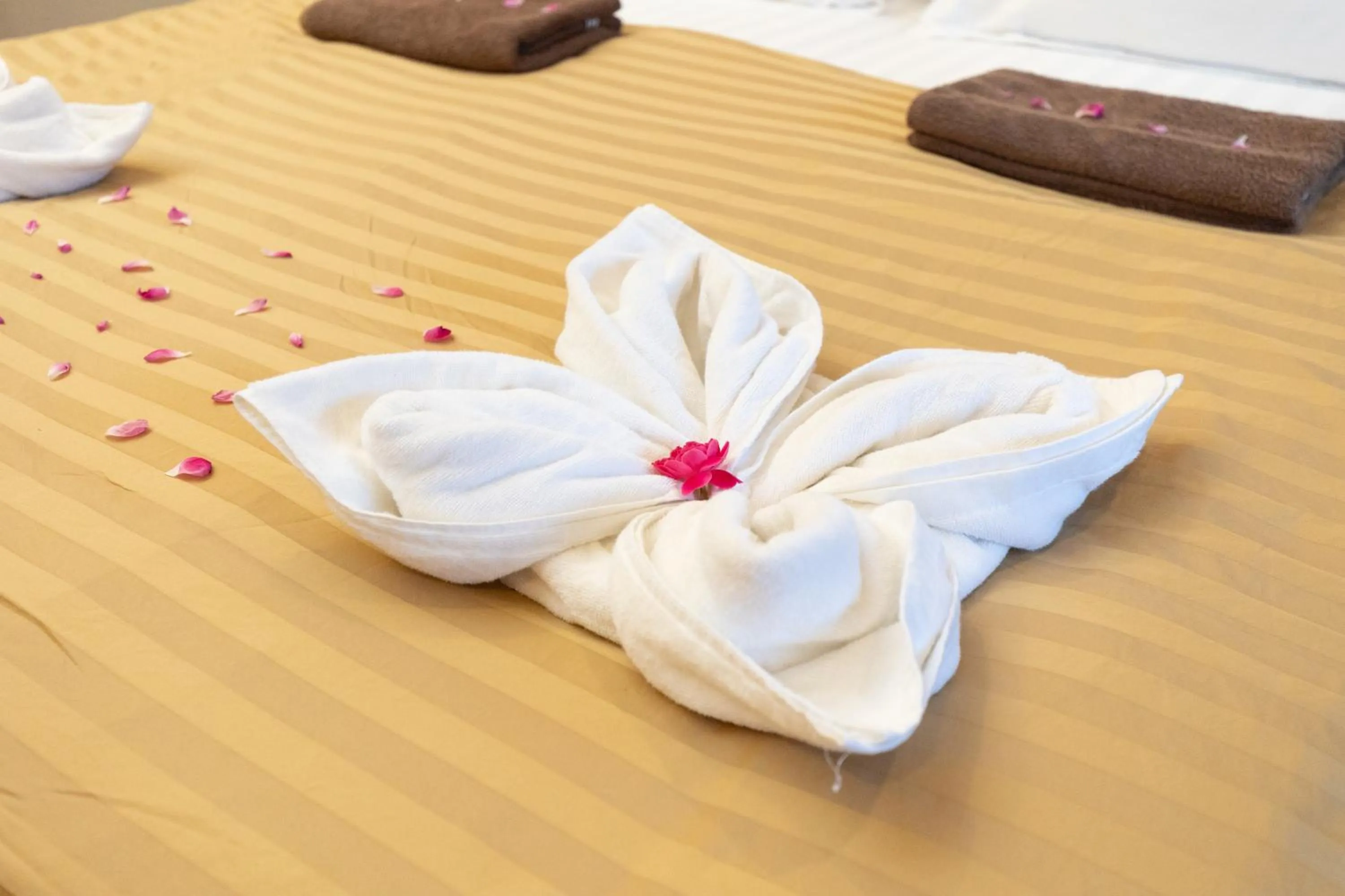 Property building in Tranquil Thoddoo