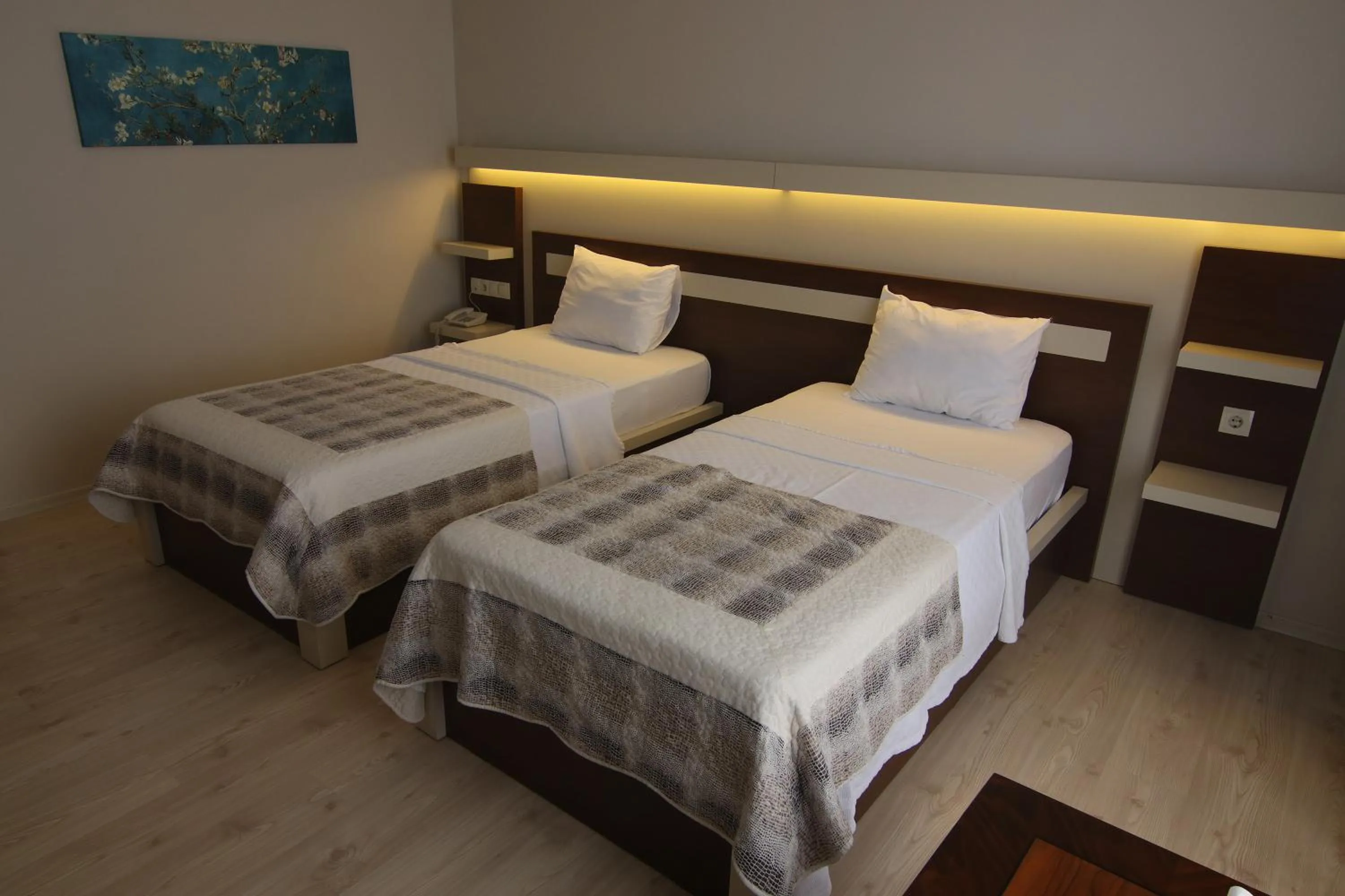 Photo of the whole room in Royal Bilgic Hotel