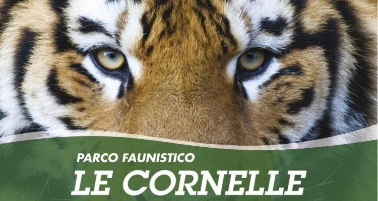 B&B I COLLI DI BERGAMO ALTA