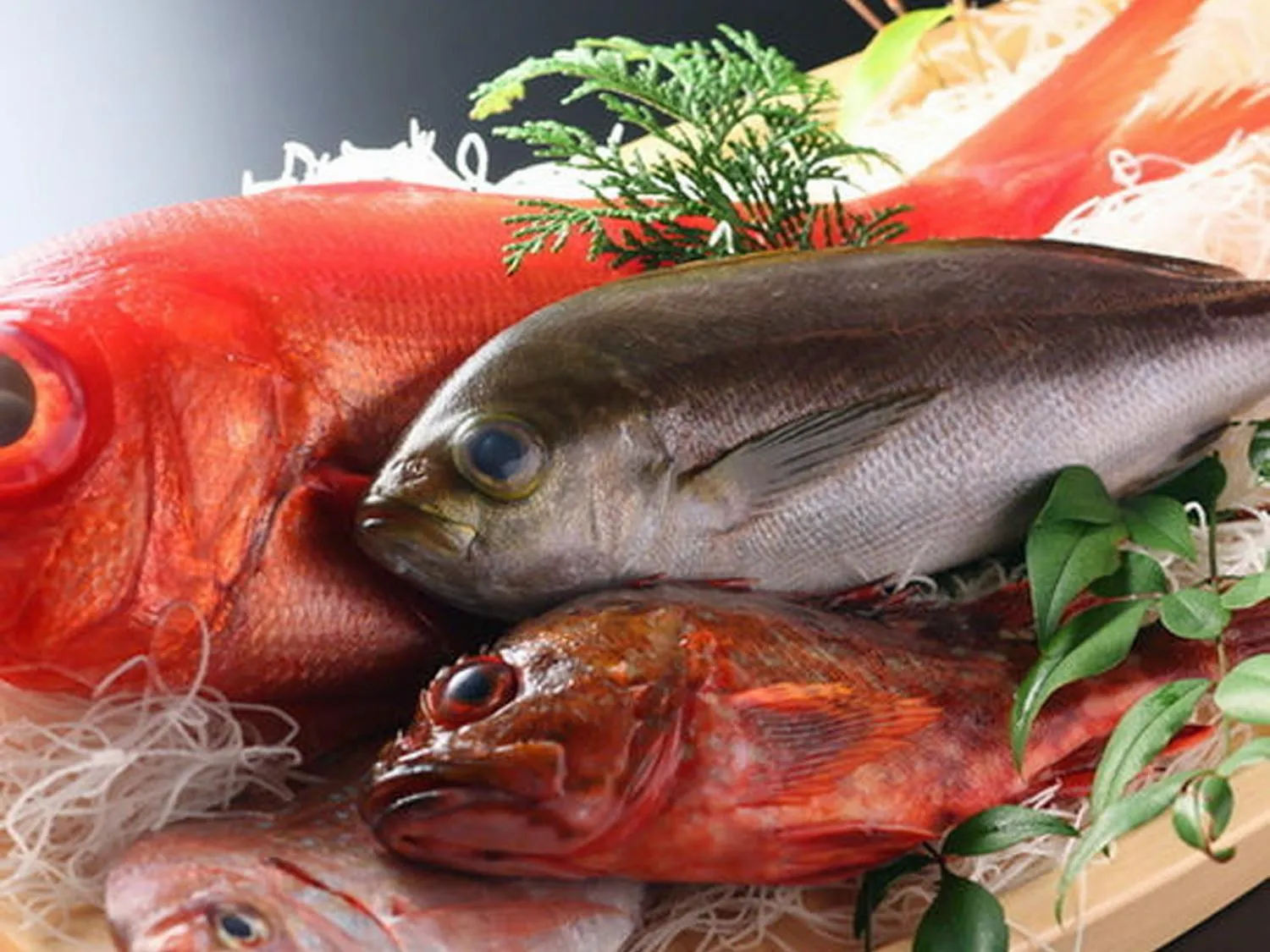 Food in Shimoda View Hotel