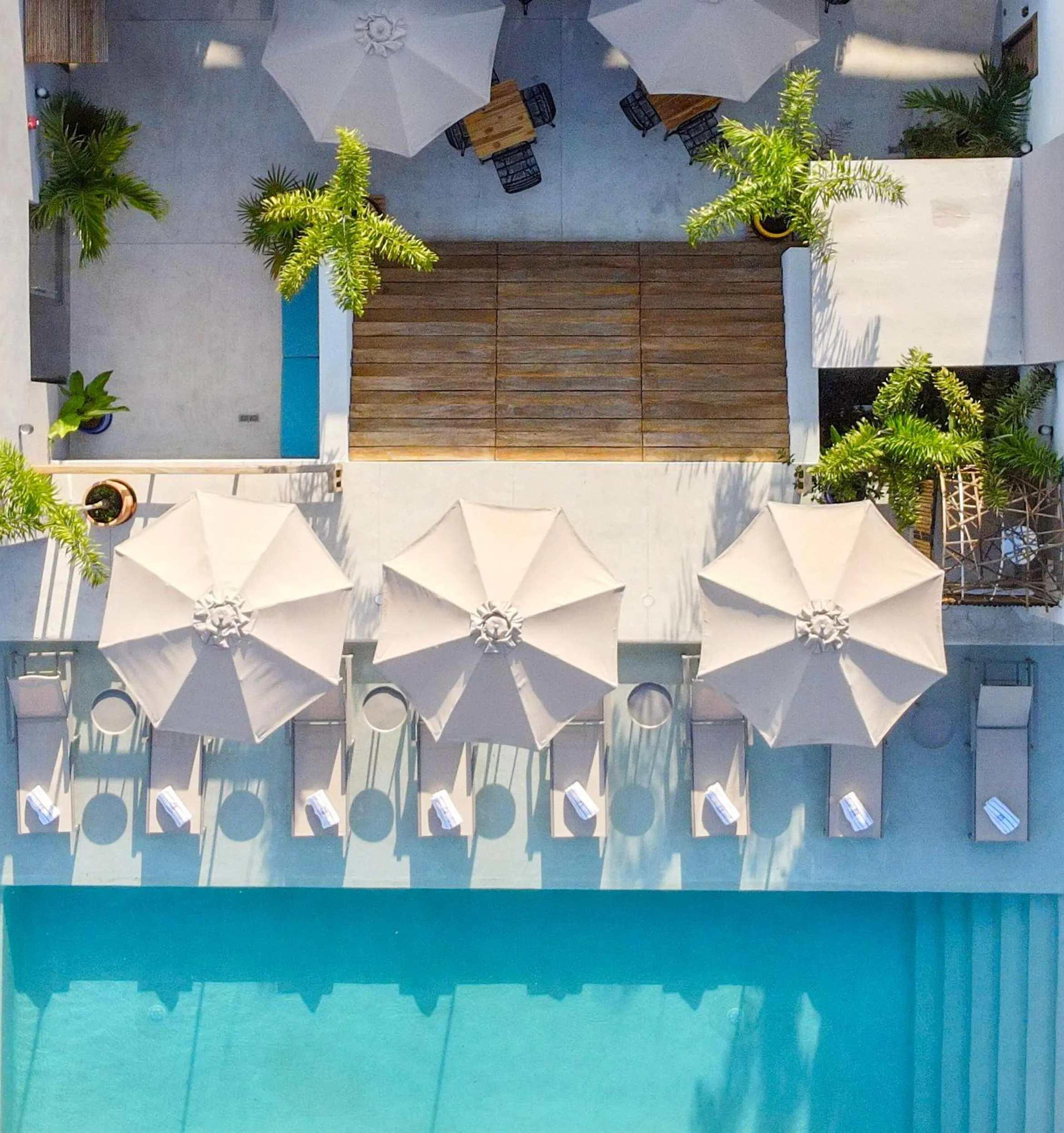 Pool view in Ximena Hotel Boutique