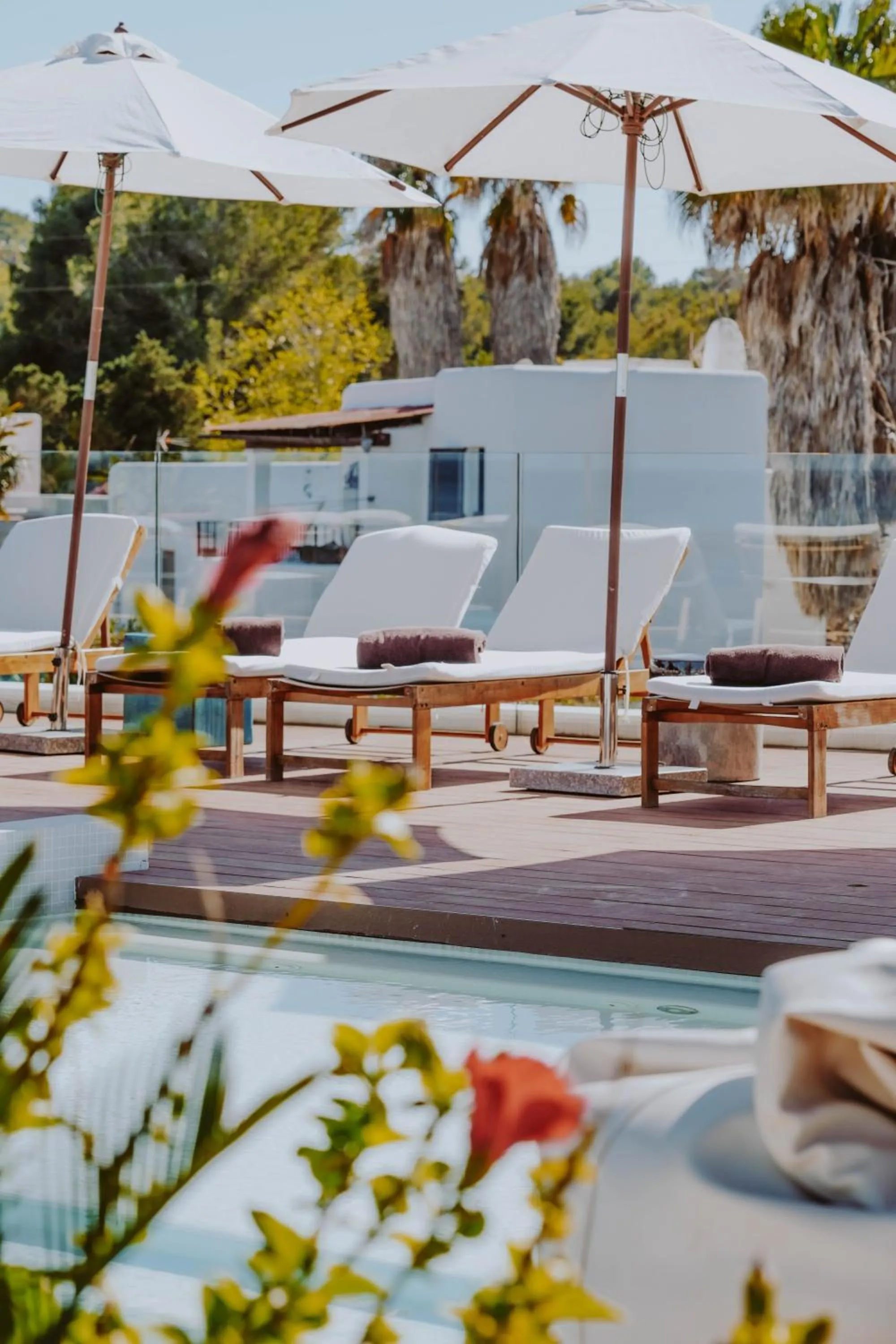 sunbed in Nativo Hotel Ibiza