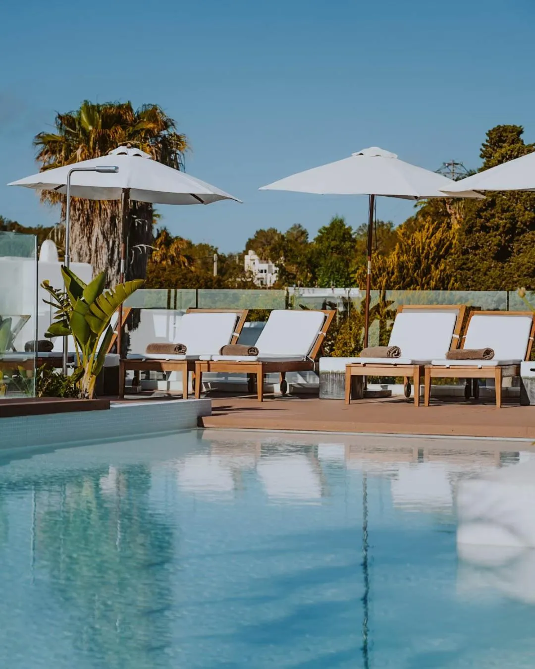 Swimming pool in Nativo Hotel Ibiza