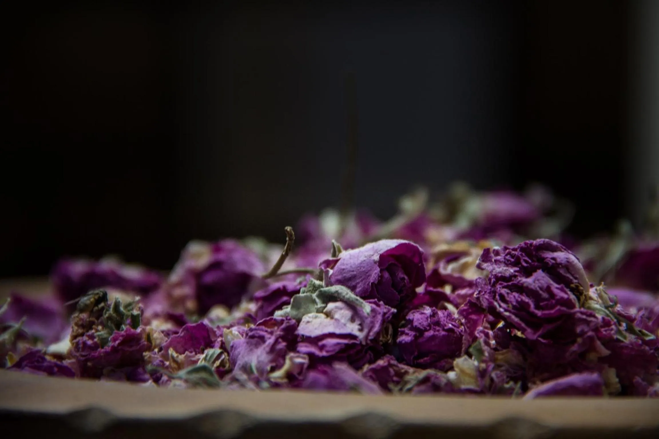 Decorative detail in Riad Tama & spa