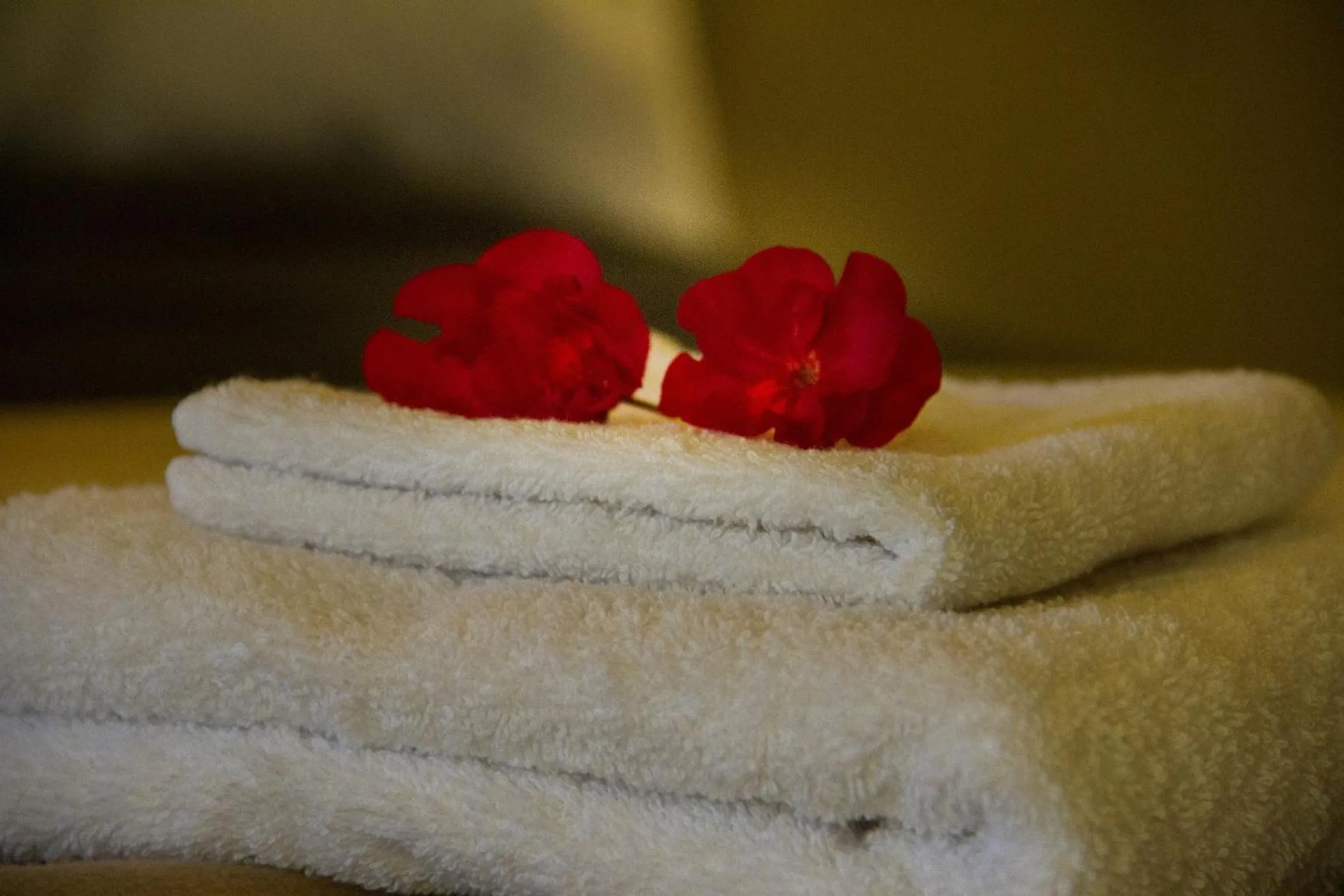 Decorative detail in Riad Tama & spa