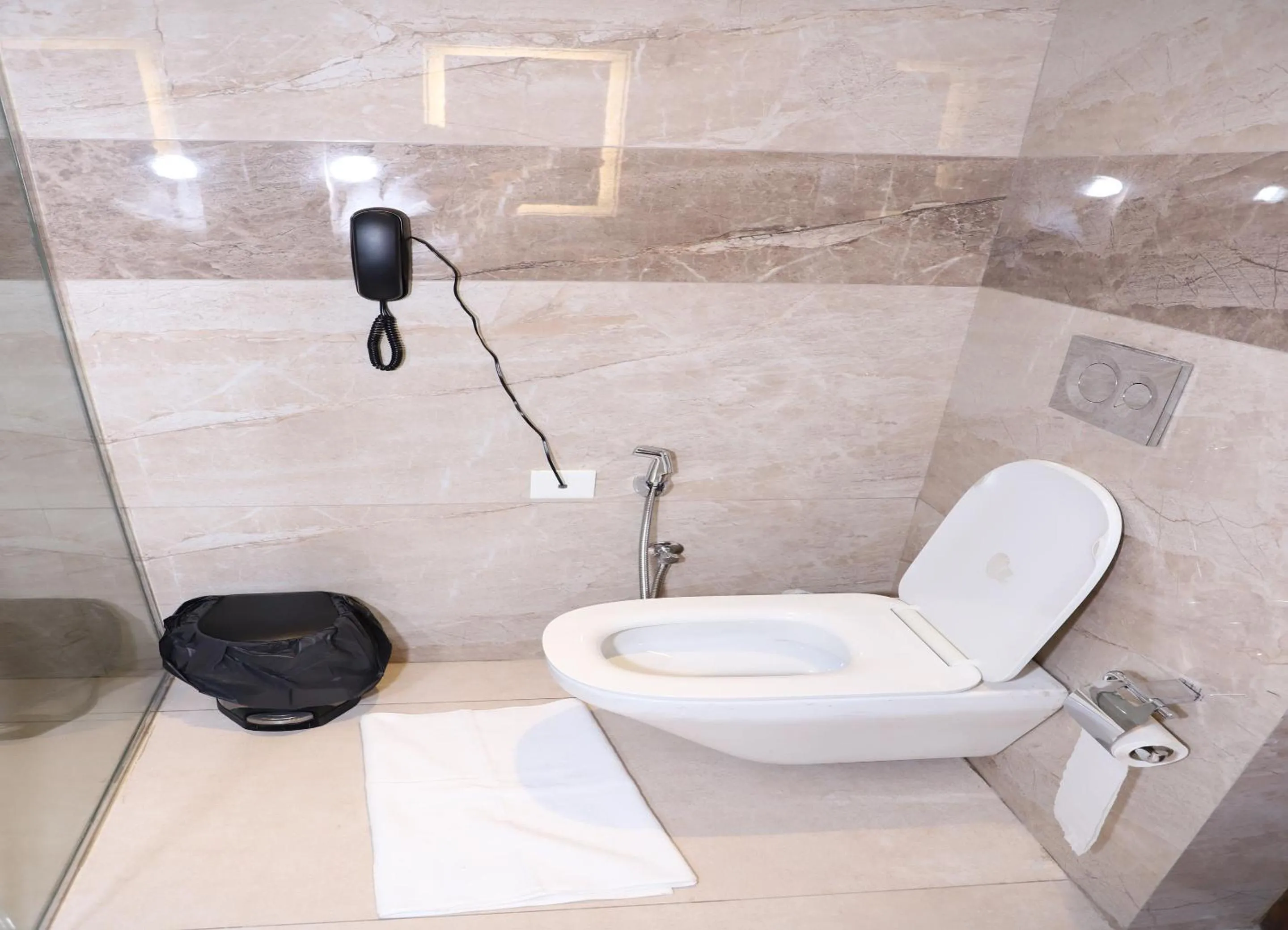 Bathroom in Geeta Sarovar Portico, Panipat