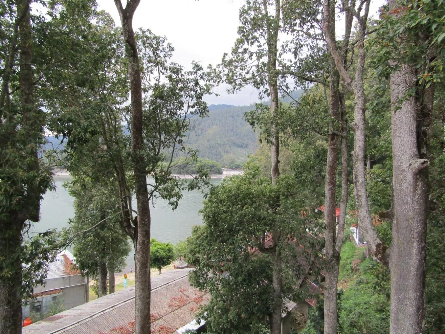 Property building in Penginapan Melati Sarangan