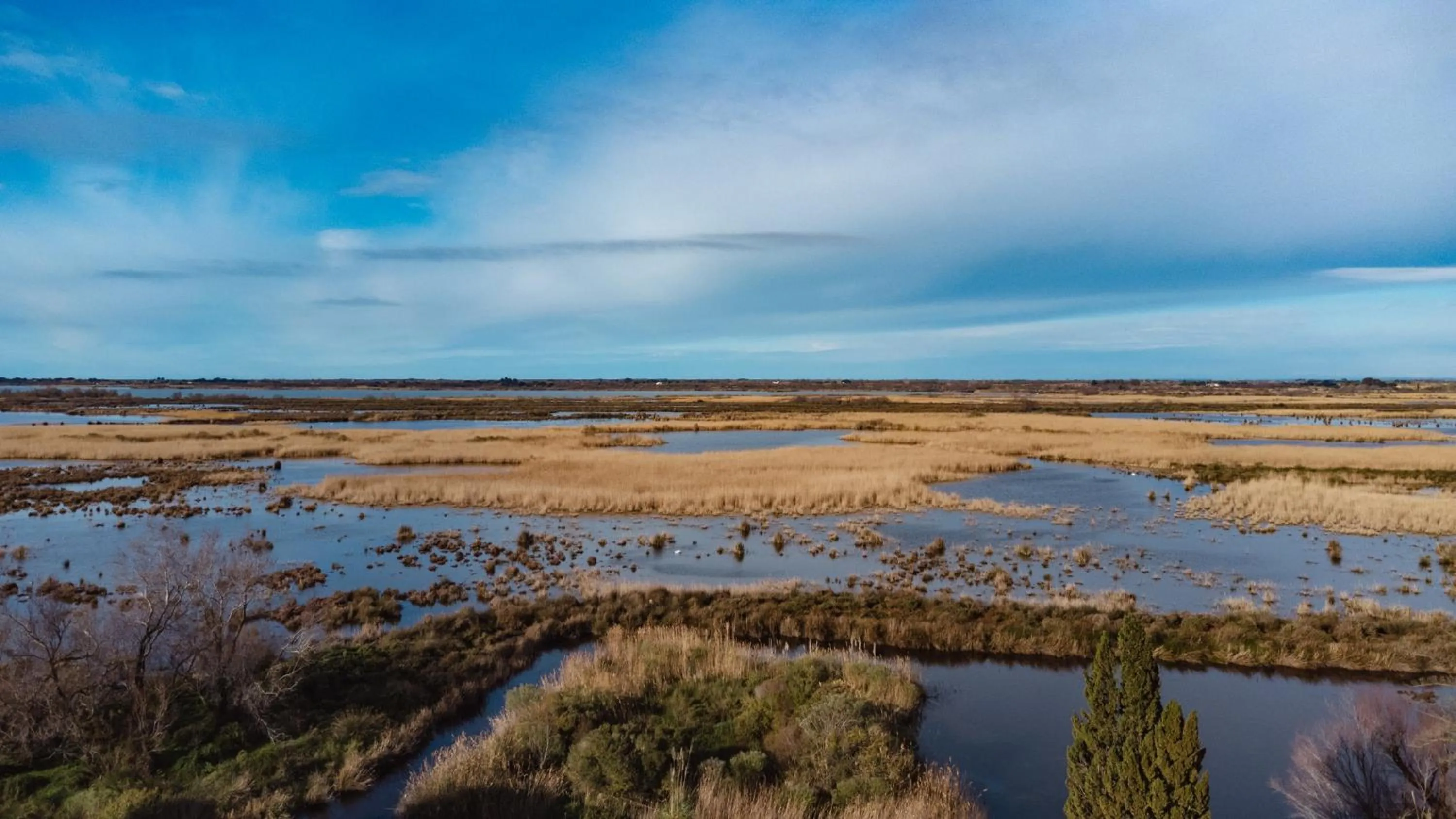 Day in Mas du Couvin, maison d'hôtes en Camargue