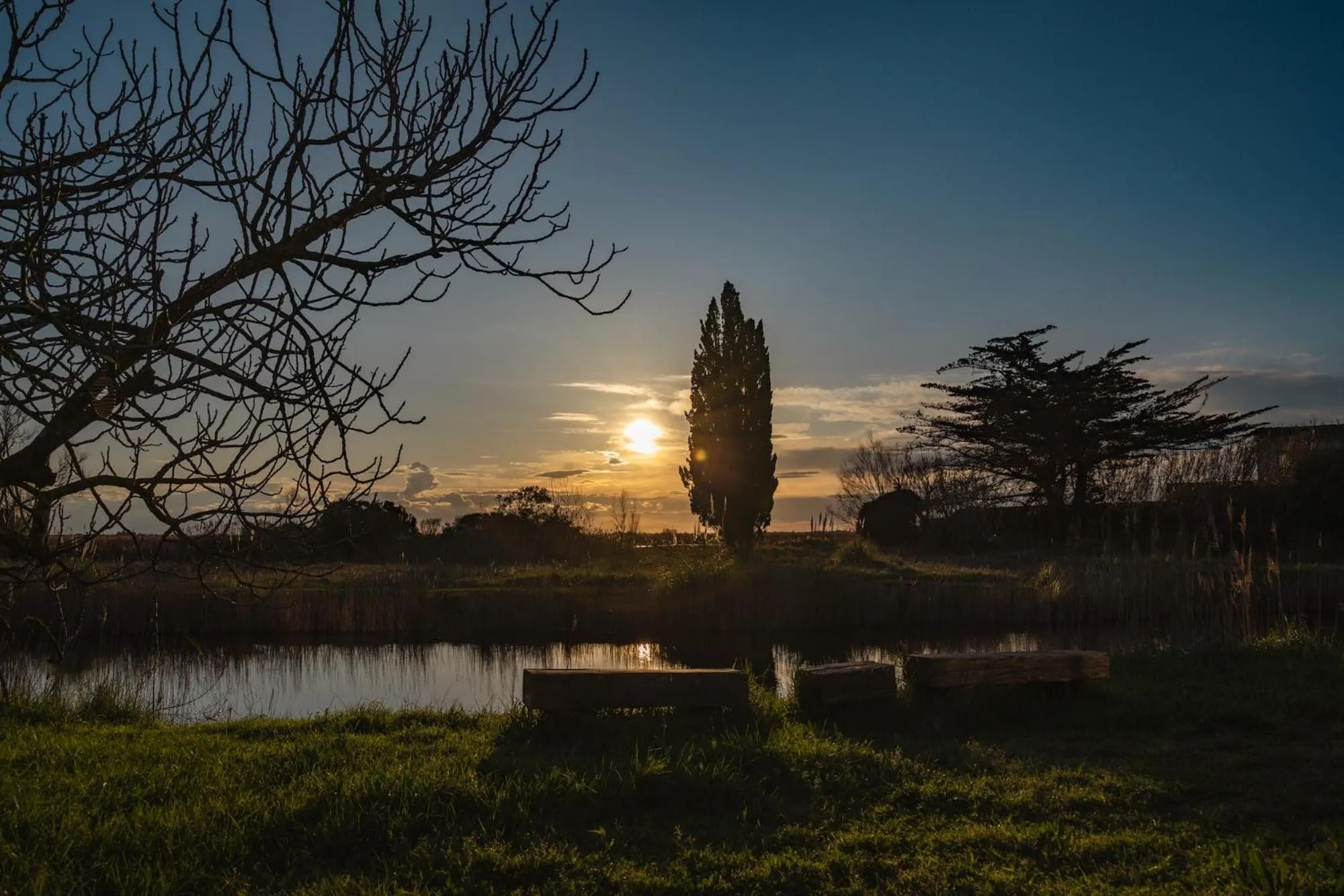 Spring in Mas du Couvin, maison d'hôtes en Camargue