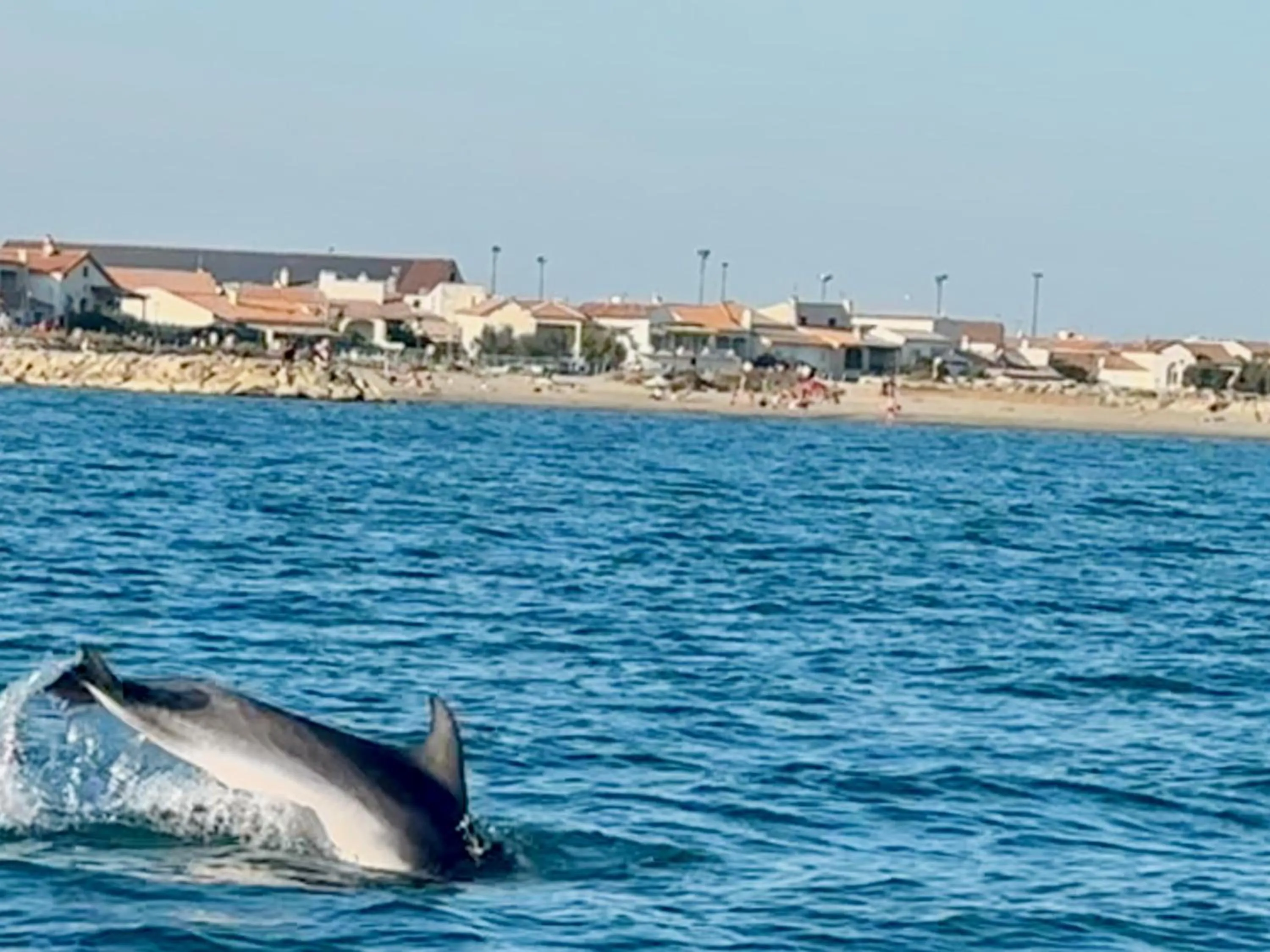Off site in Mas du Couvin, maison d'hôtes en Camargue
