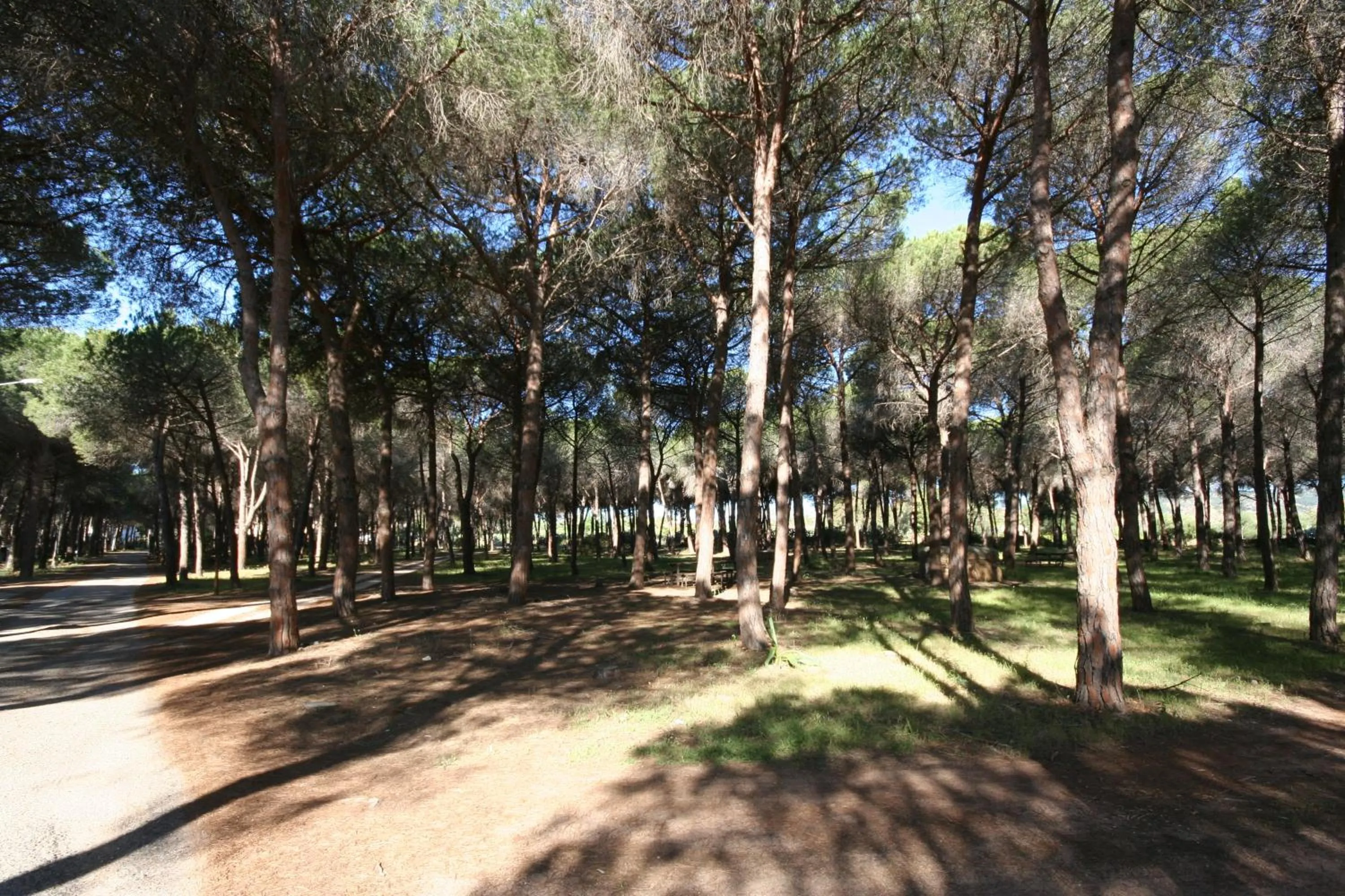 Sports in Villa La Conchiglia Rooms