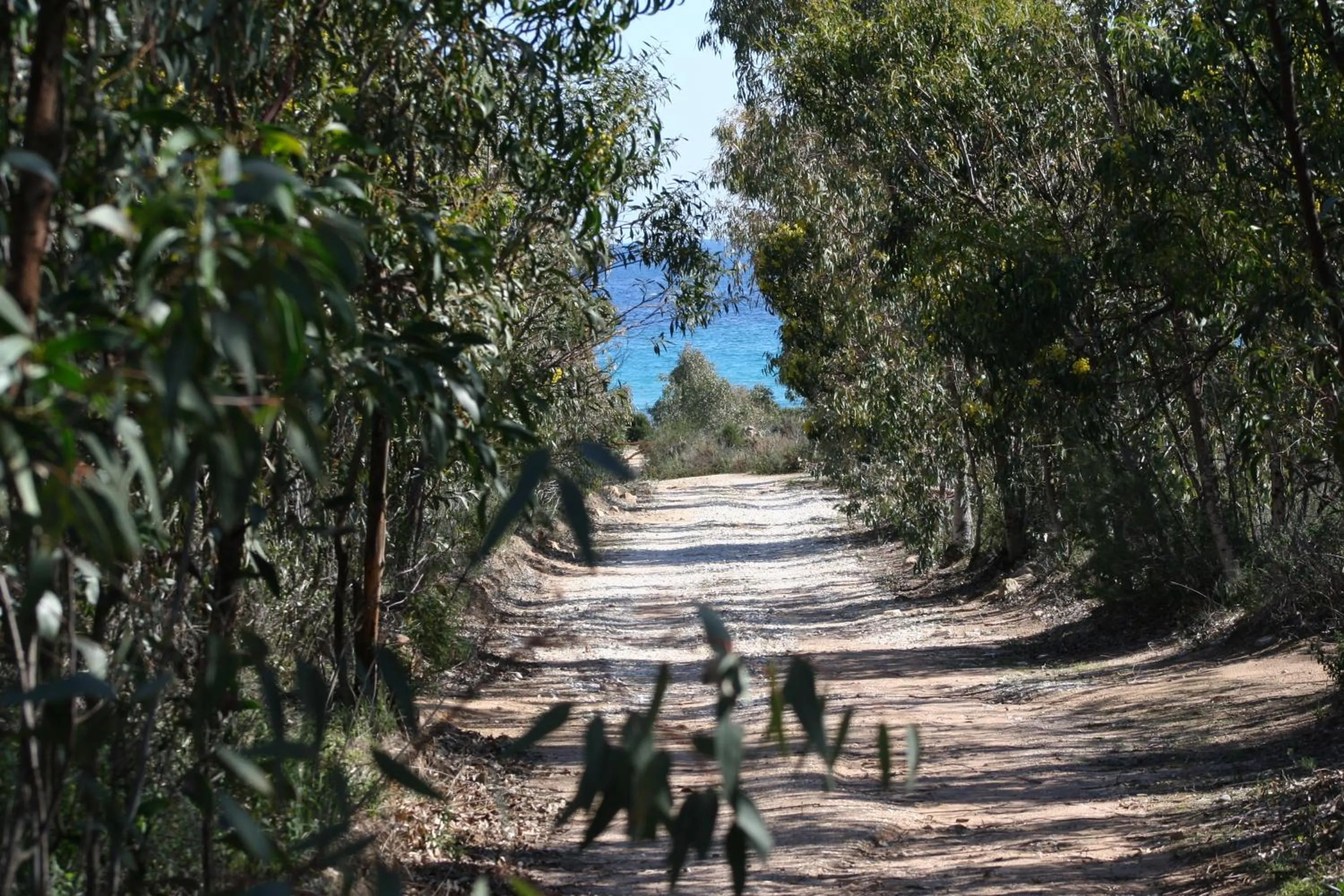 Day in Villa La Conchiglia Rooms