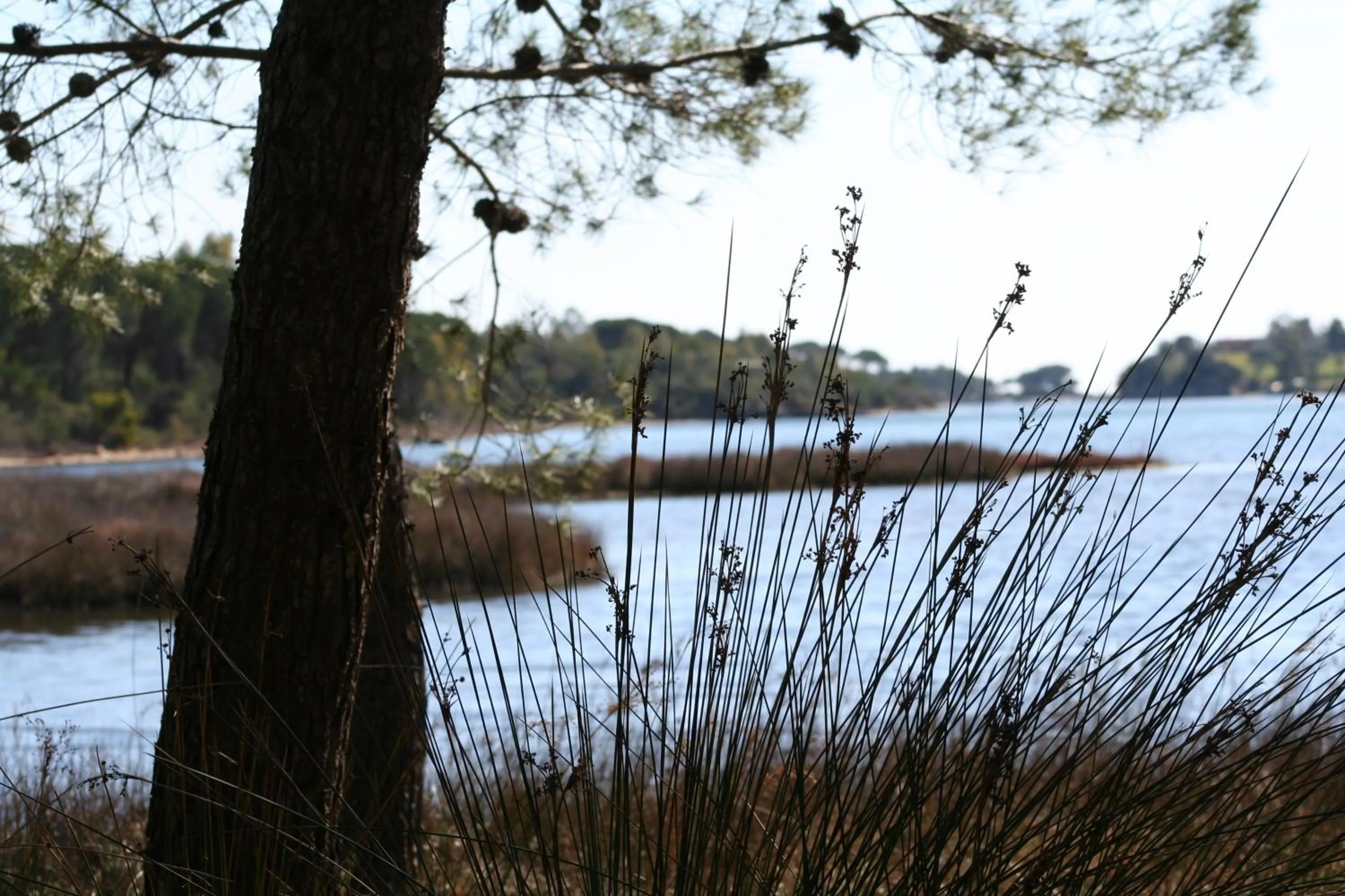 Day in Villa La Conchiglia Rooms