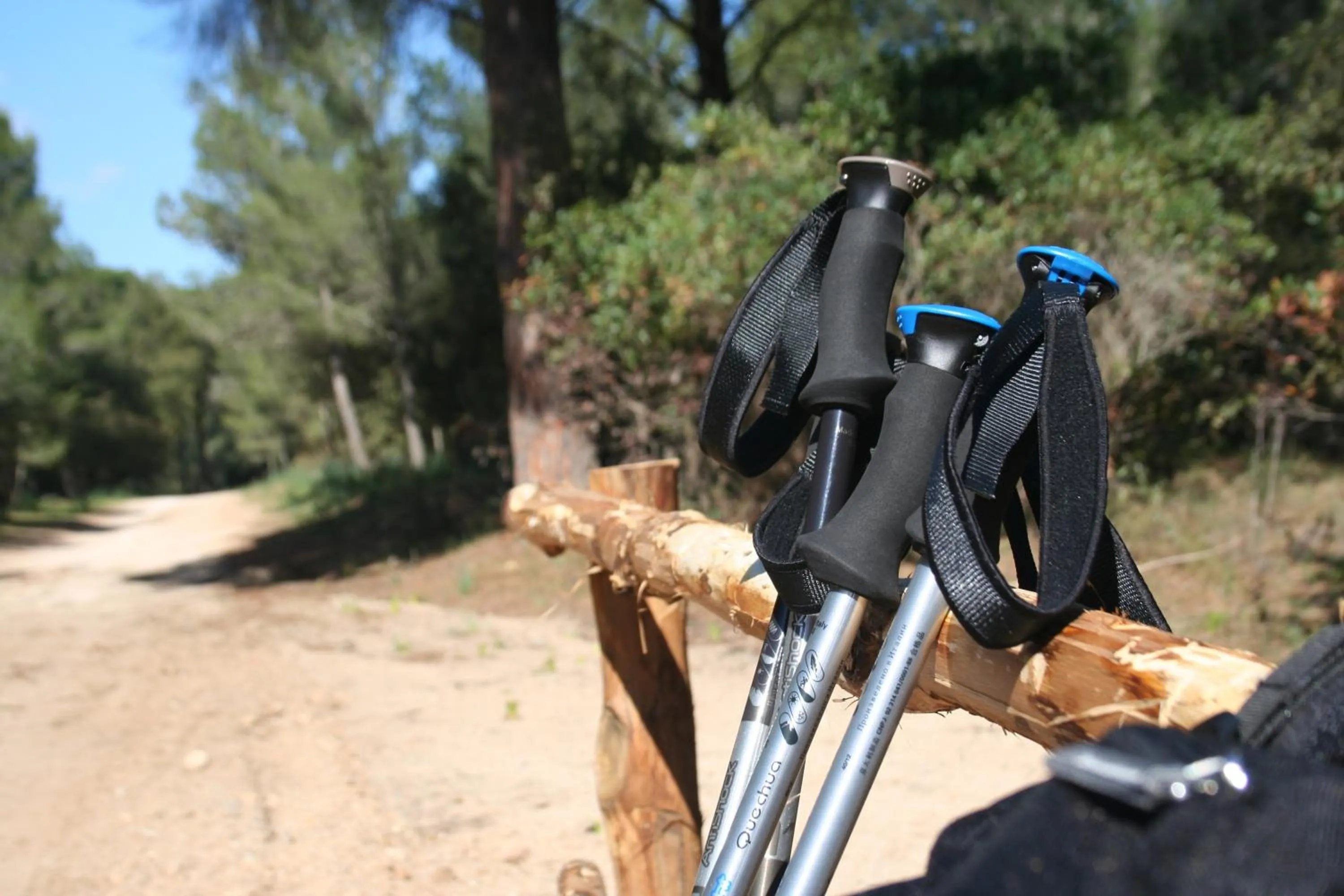 Day in Villa La Conchiglia Rooms