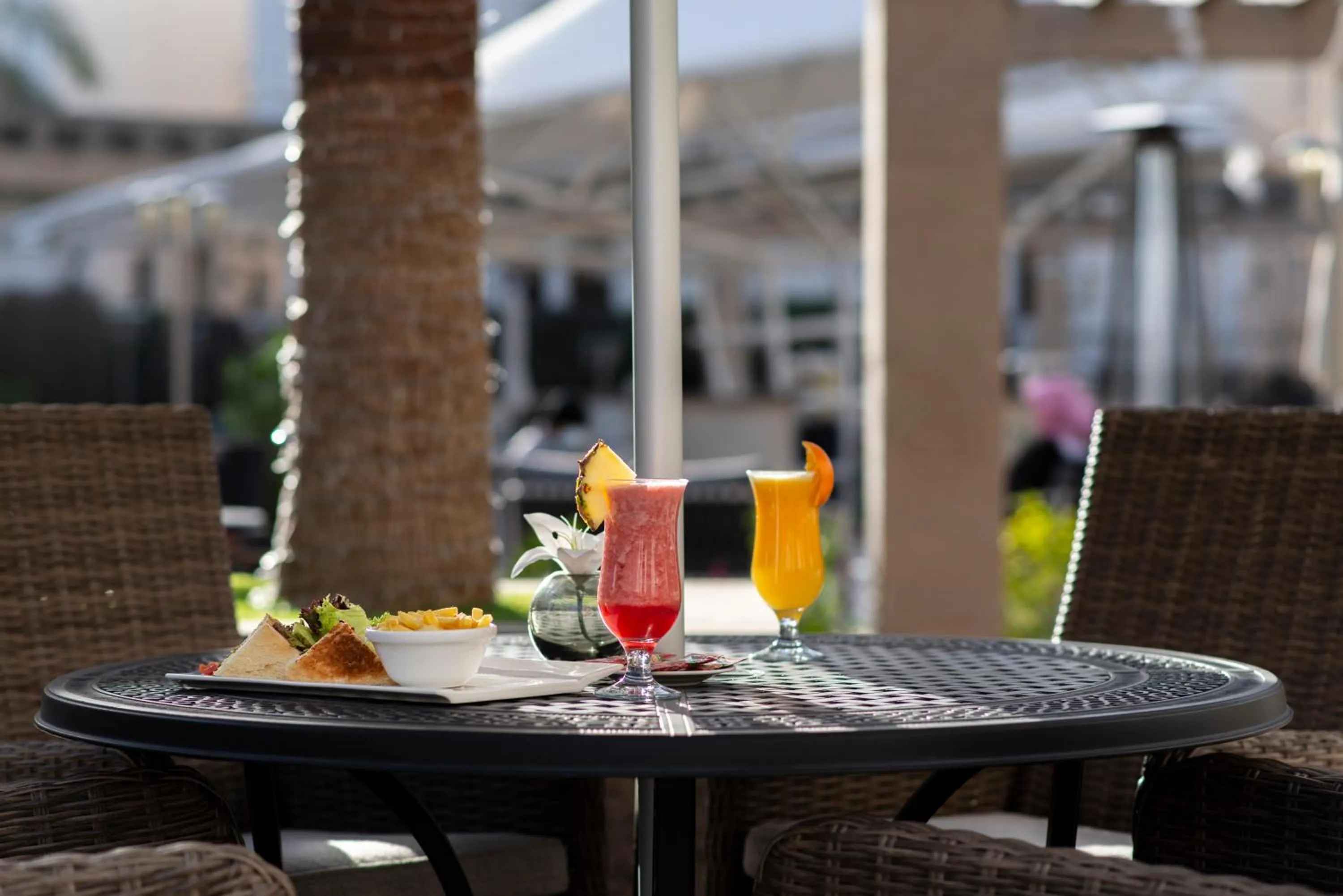 Drinks in Vittori Palace Hotel and Residences