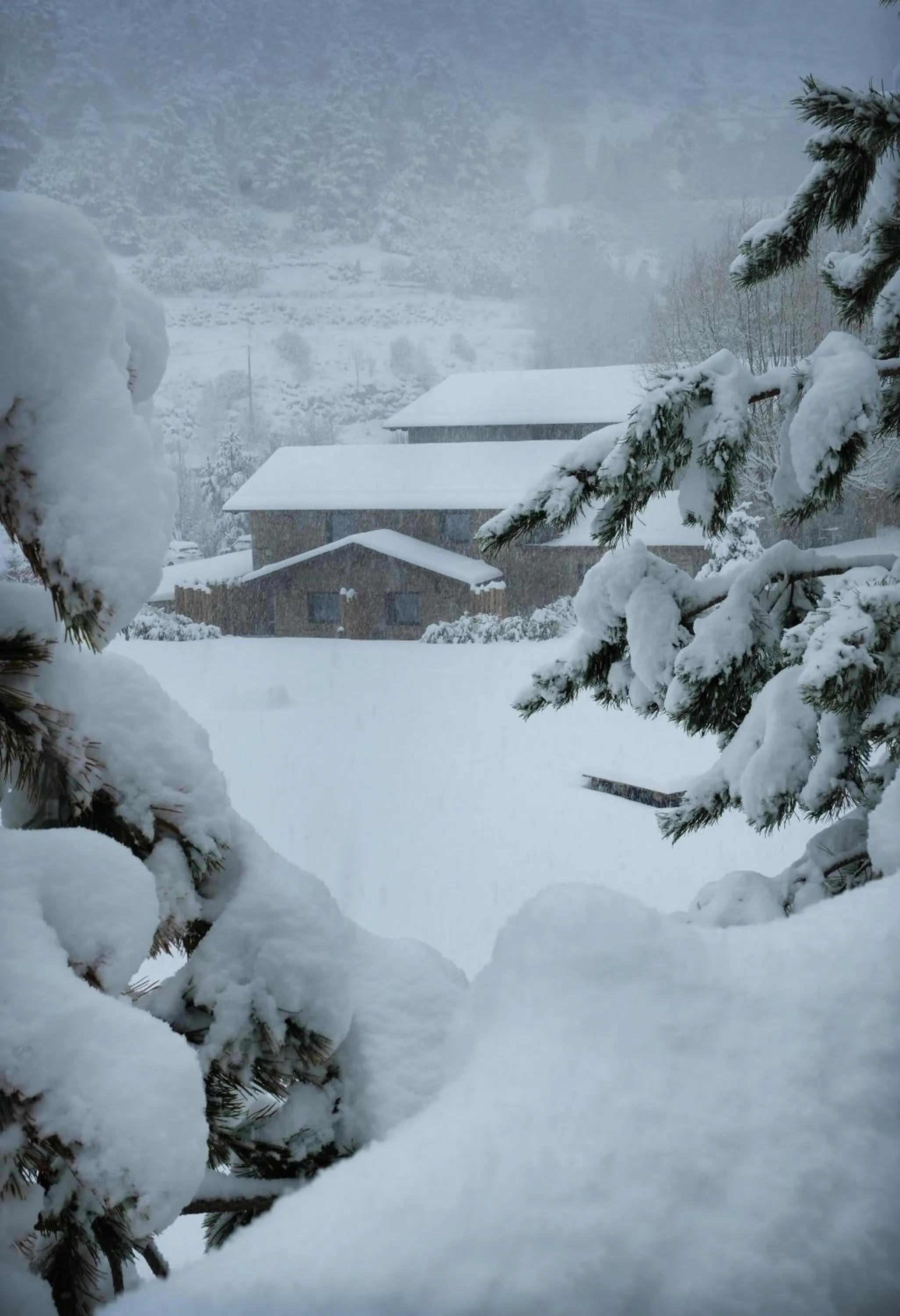 View (from property/room) in Les Pardines 1819 Mountain suites & SPA