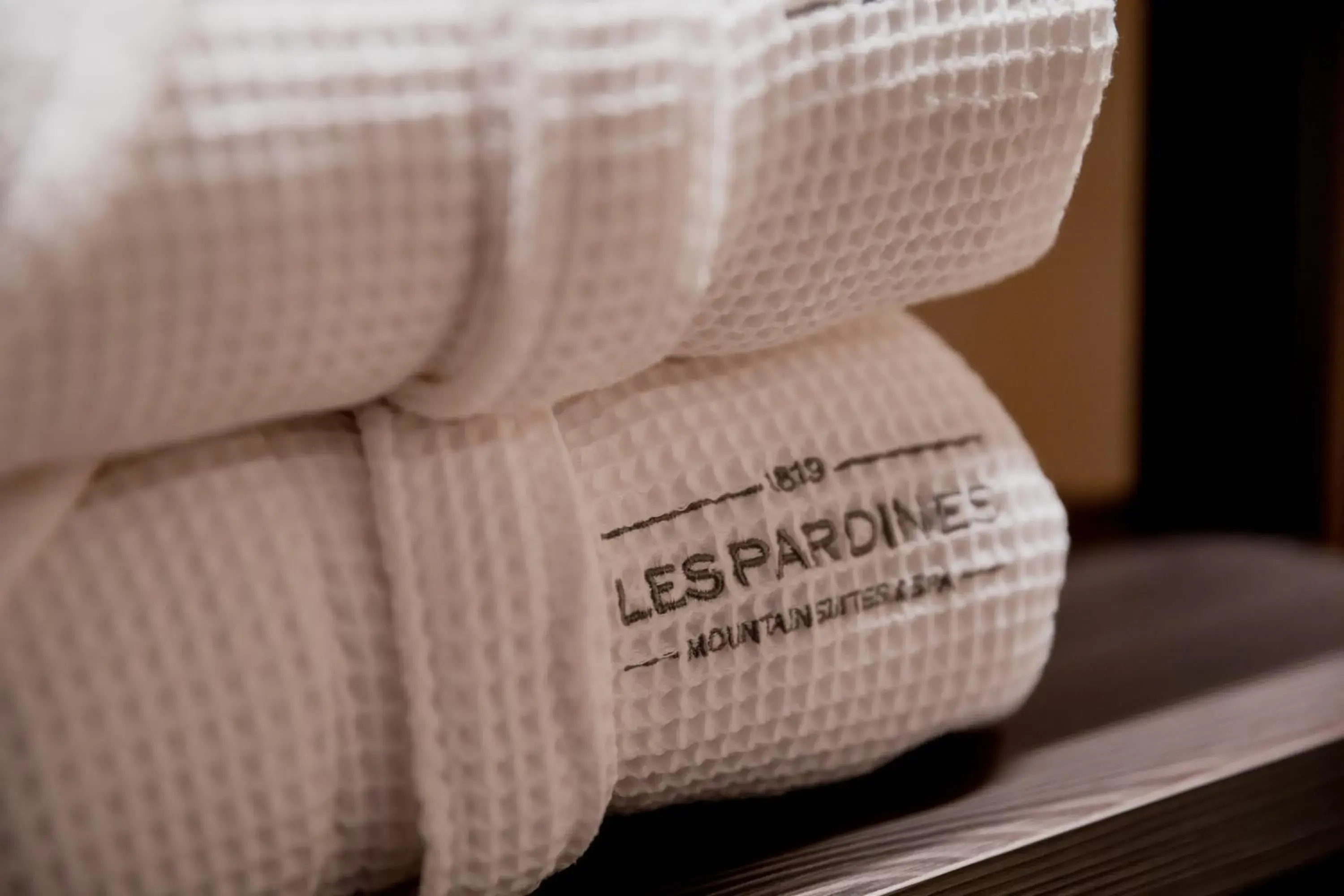 Family Room in Les Pardines 1819 Mountain suites & SPA Family Room in Les Pardines 1819 Mountain suites & SPA