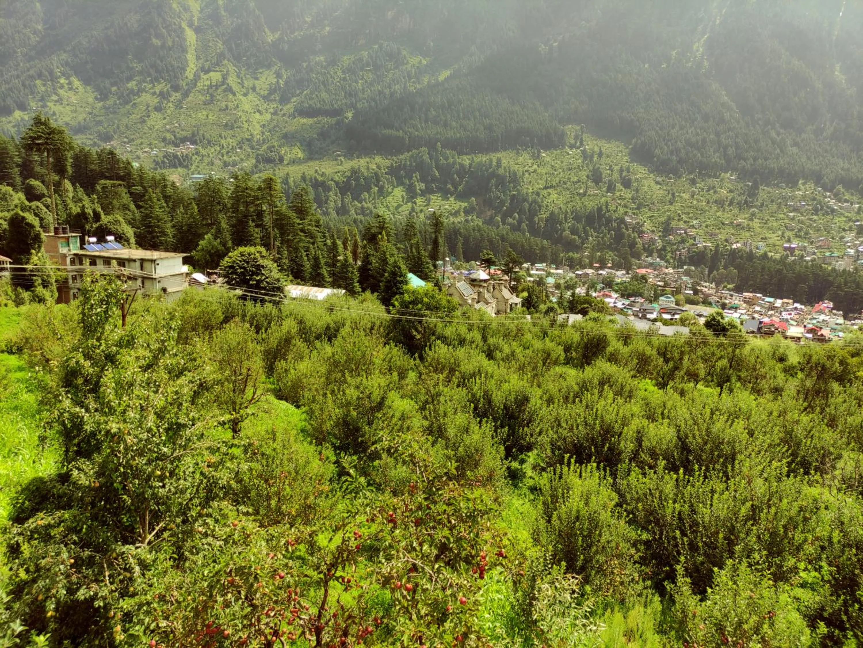 City view in Nomadic Den Manali