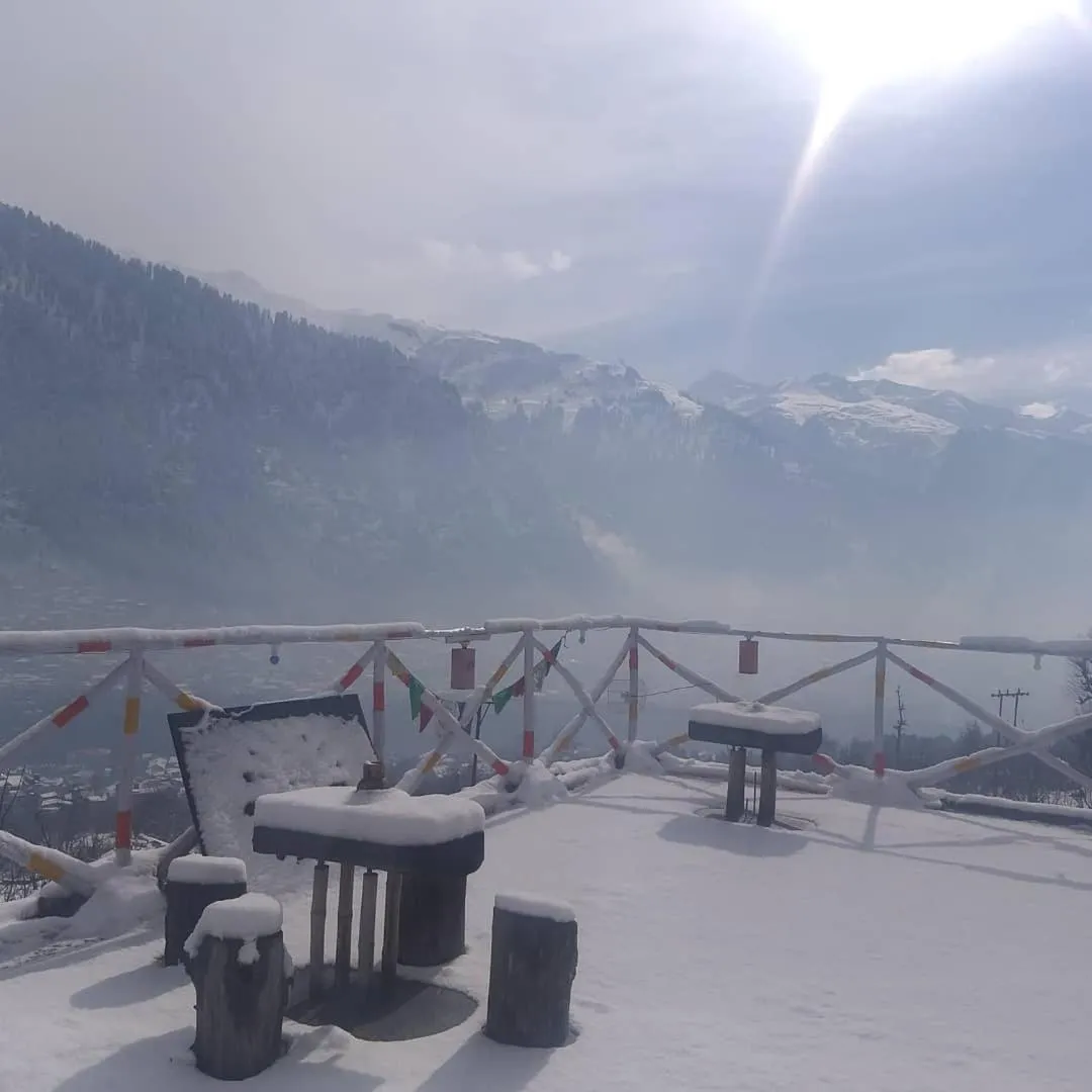 Restaurant/places to eat in Nomadic Den Manali