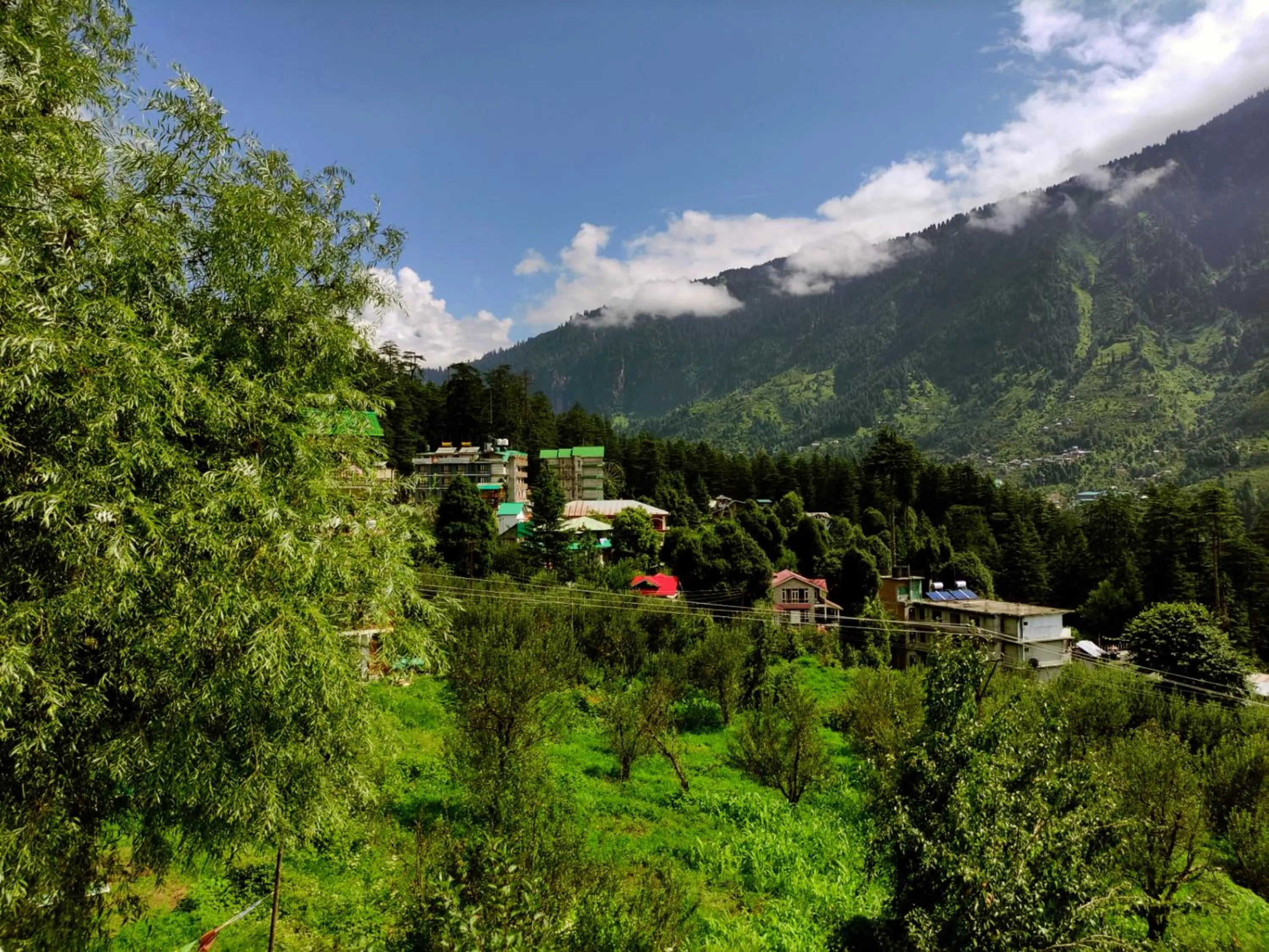Nomadic Den Manali