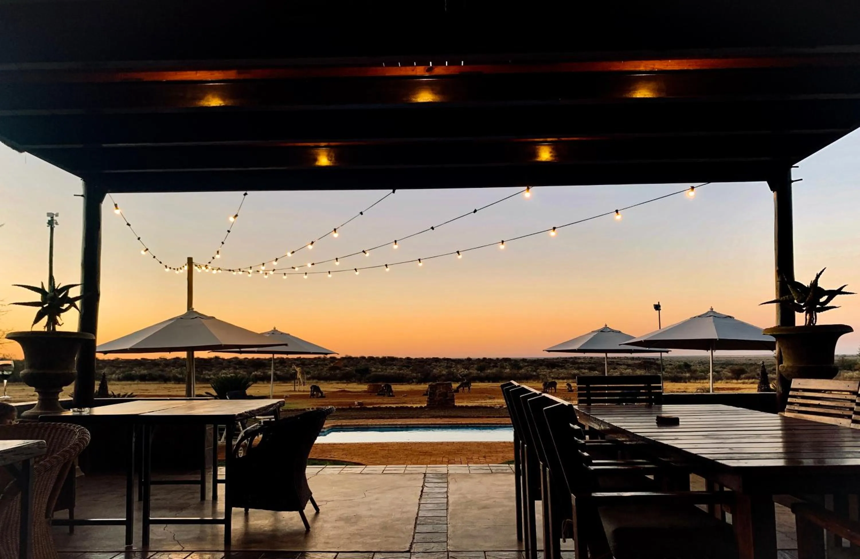 Sunset in Morakane Safari Lodge