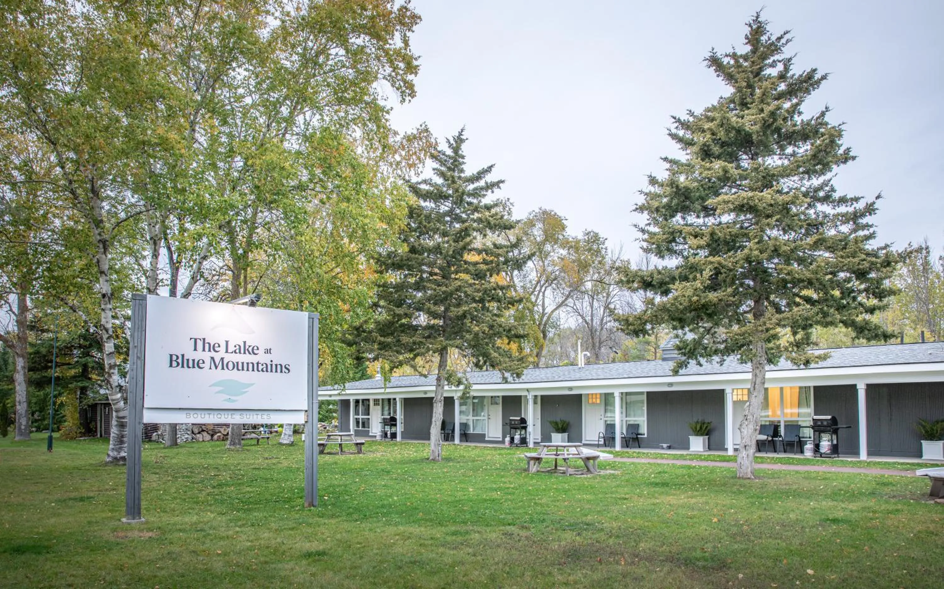 Property building in Boutique Suite #6