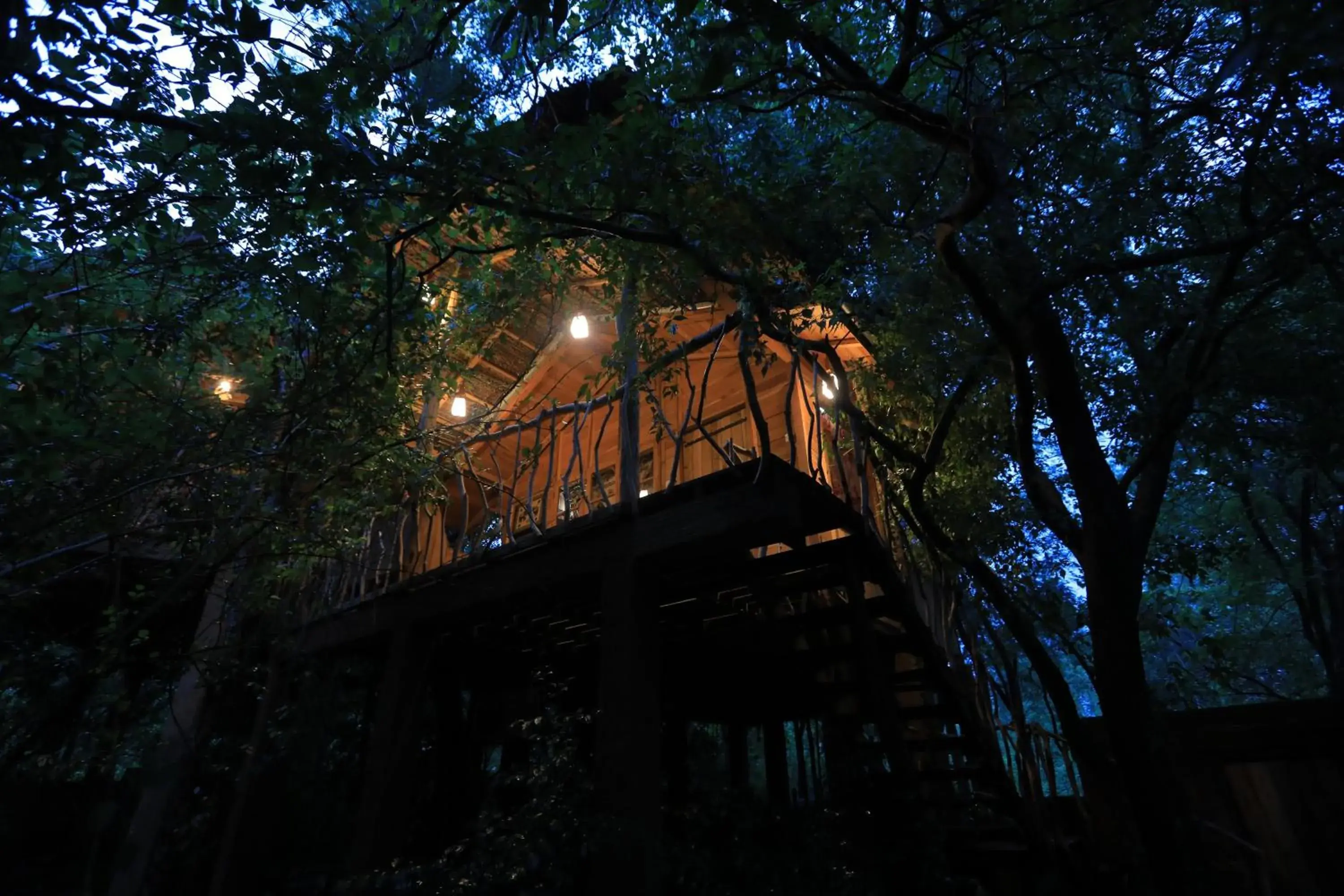 Superior Tree House - single occupancy in Habarana Tree house Mutu village Superior Tree House - single occupancy in Habarana Tree house Mutu village