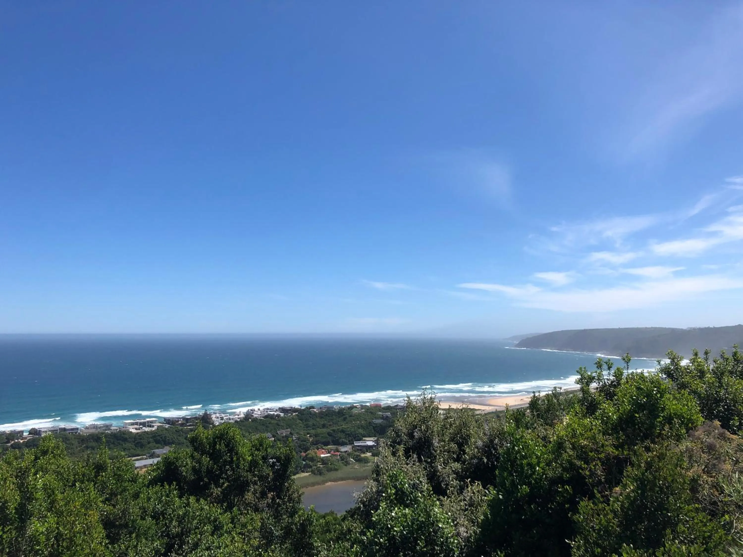 Day in Forest Hill Wilderness