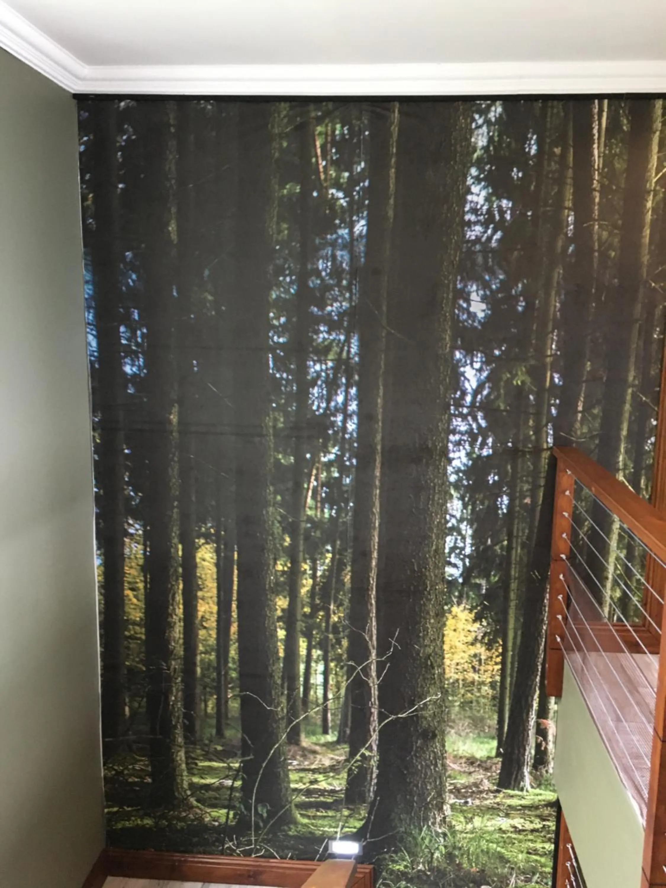 Property building in Forest Hill Wilderness