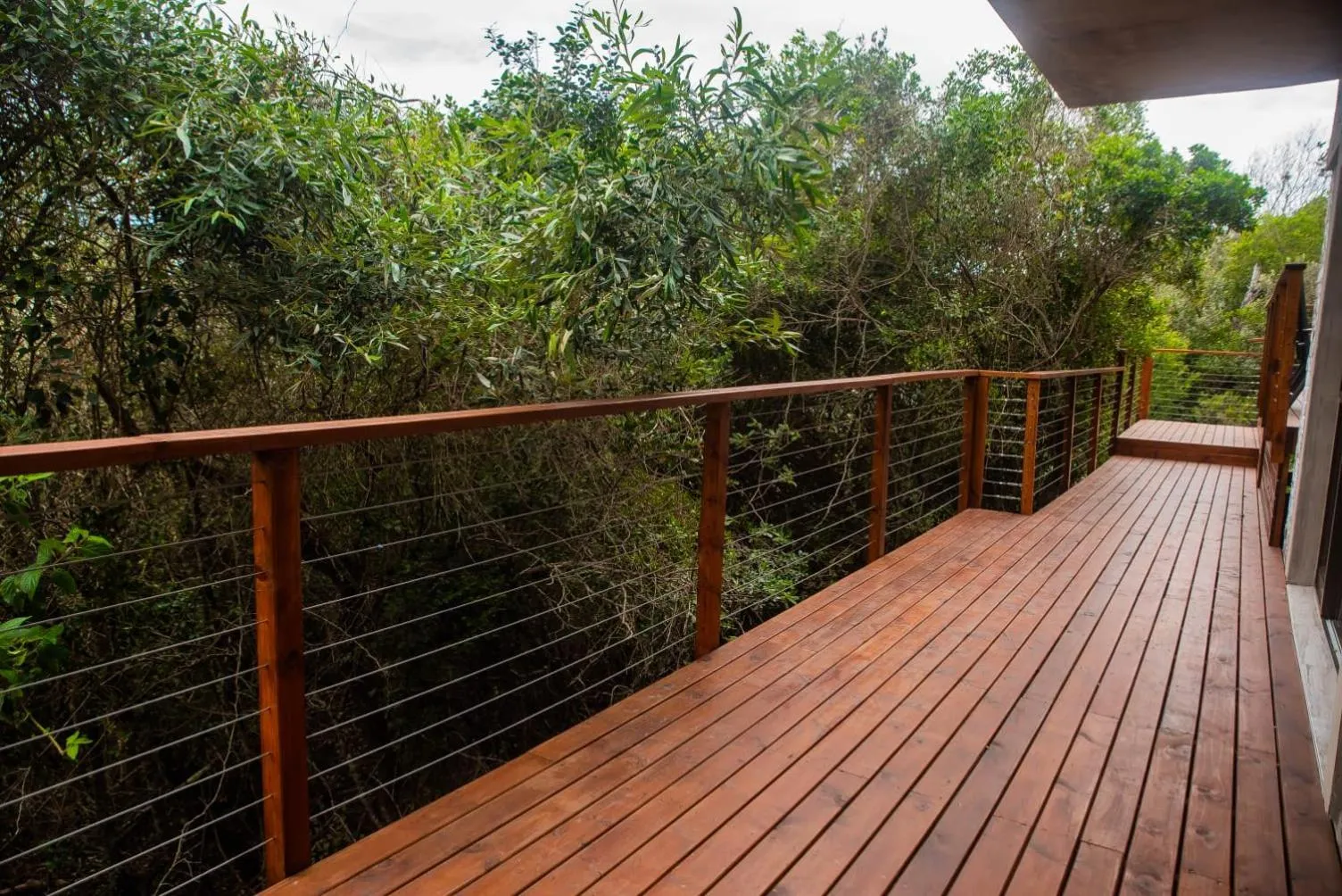 View (from property/room) in Forest Hill Wilderness