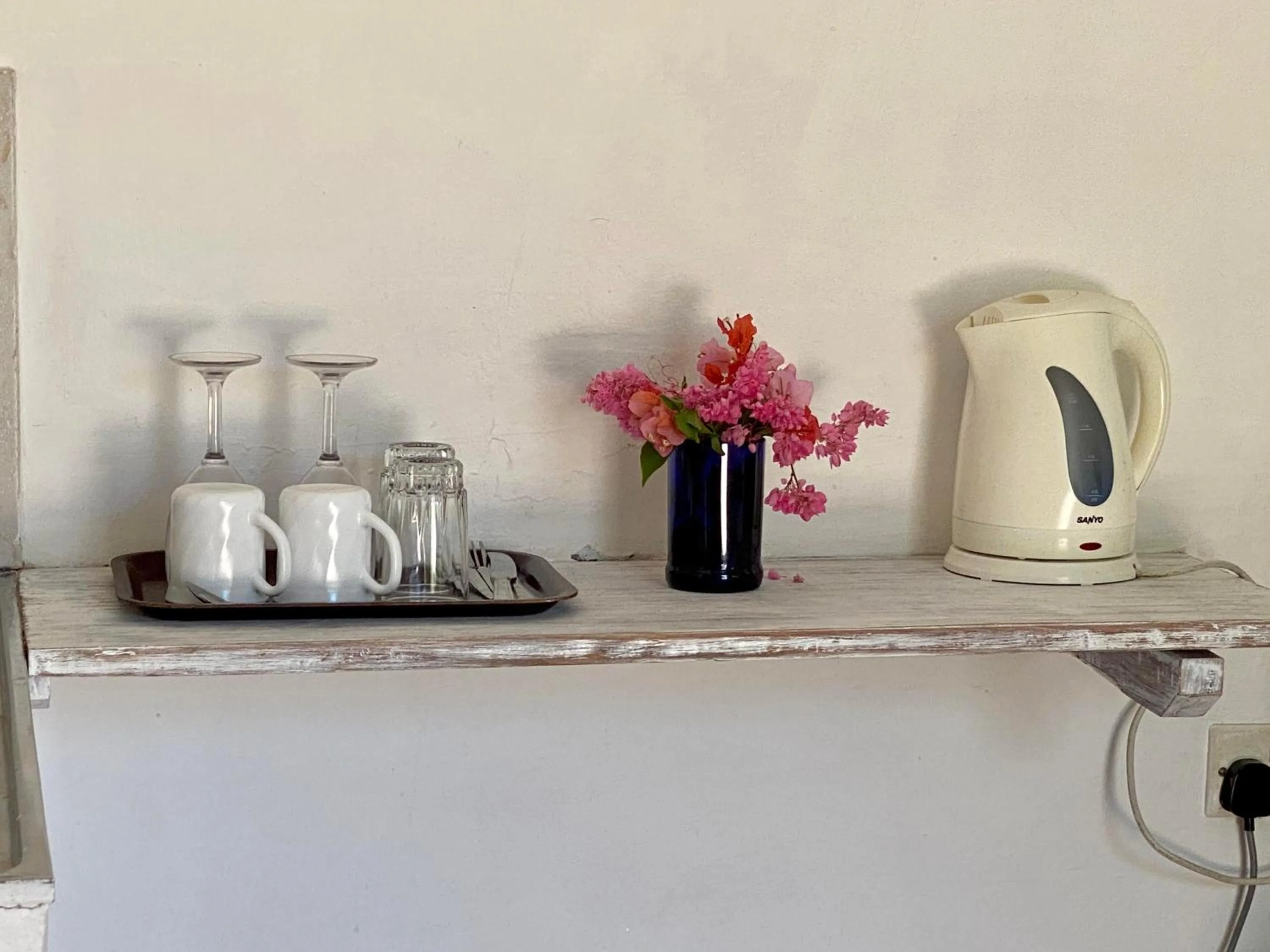 Flamboyant Diani Beach