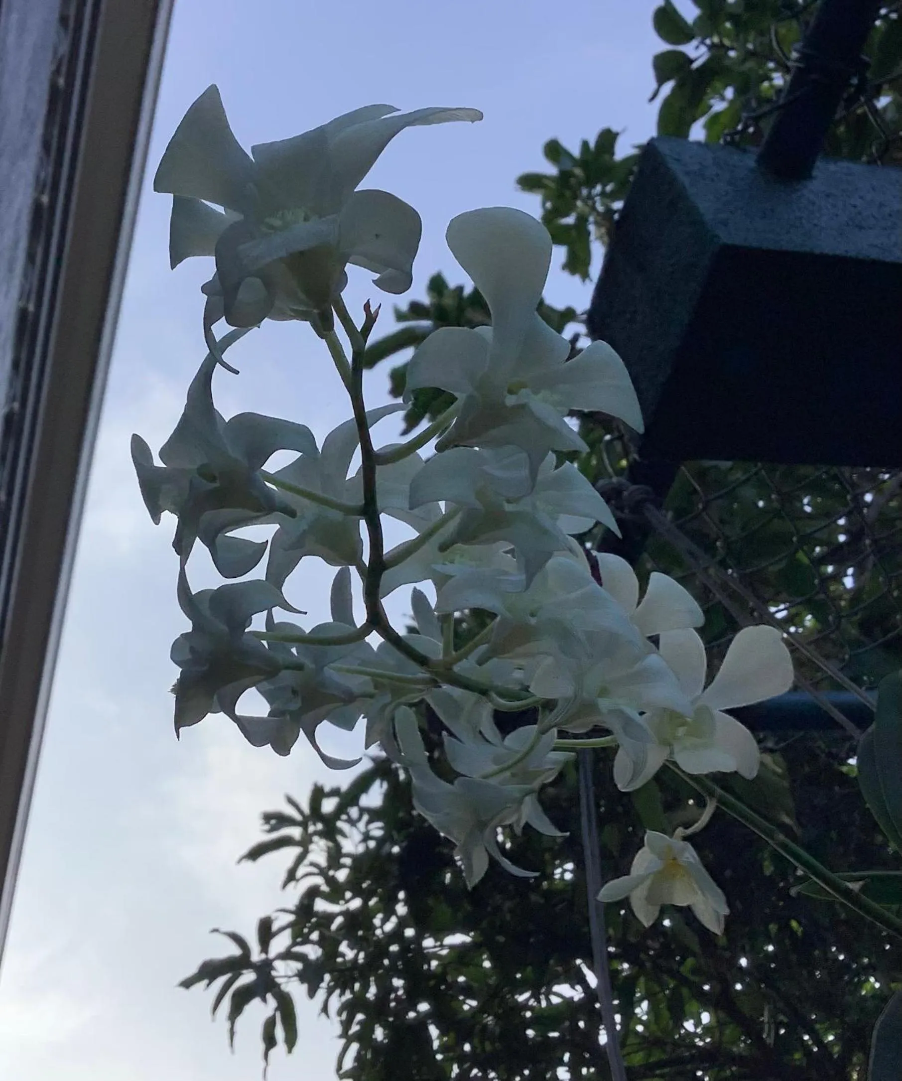 Garden view in Sagarika Beach Hotel