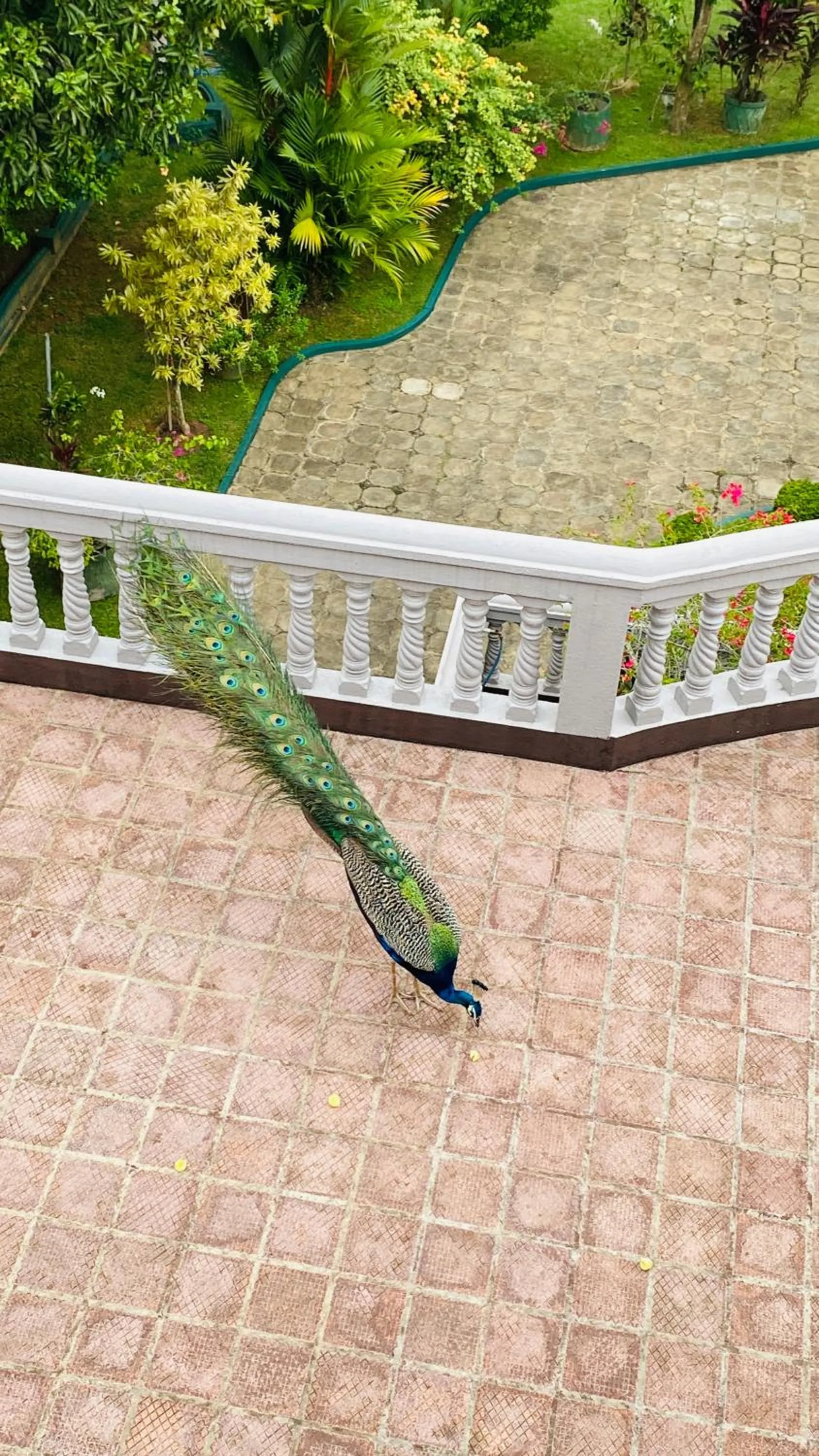 Balcony/Terrace in Sagarika Beach Hotel