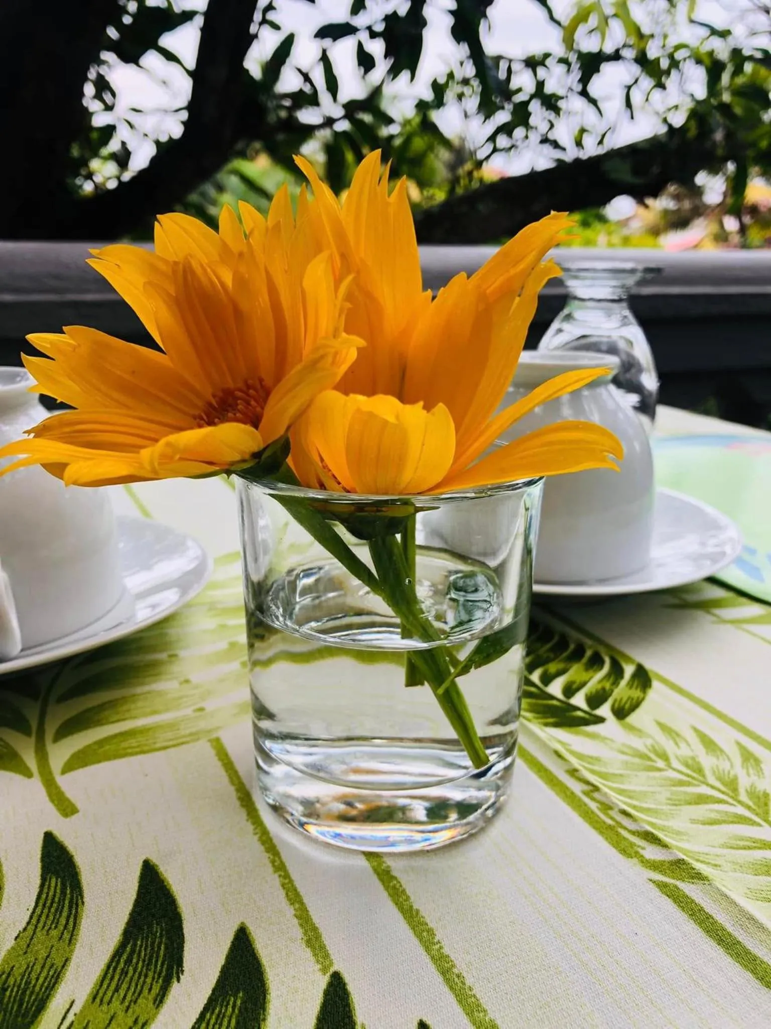 Restaurant/places to eat in Sagarika Beach Hotel